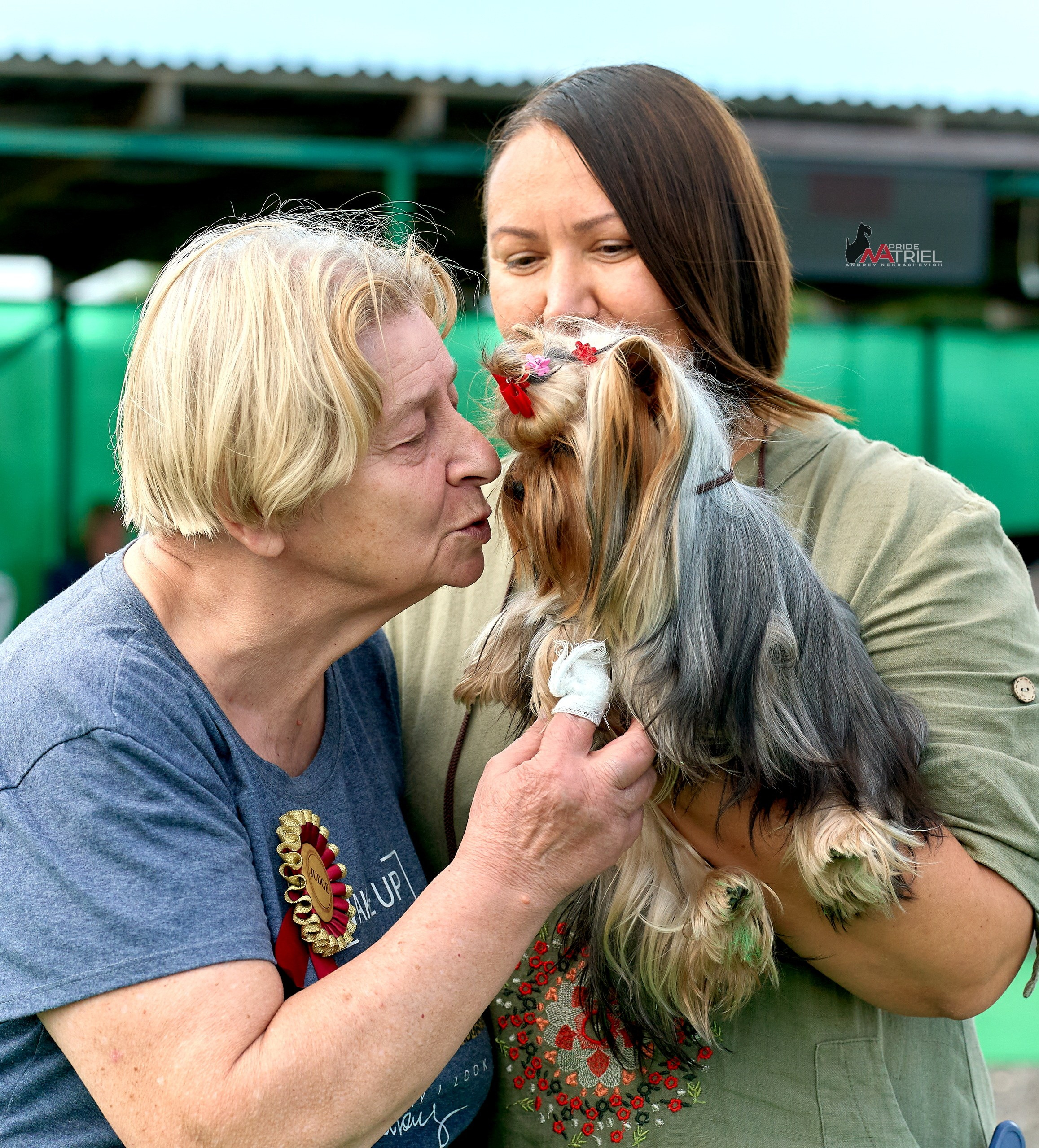 Призовые места — галерея NATRIEL