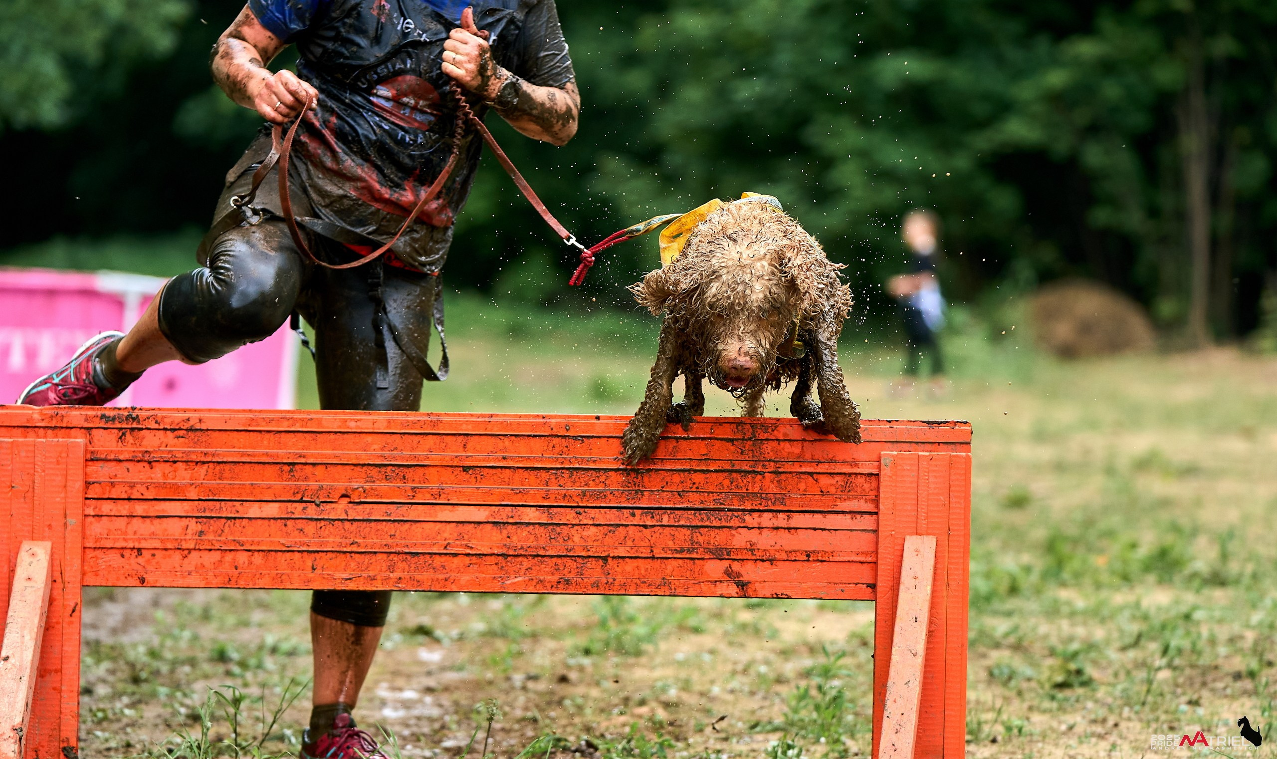 Russian Extreme Dog Trail — 2025