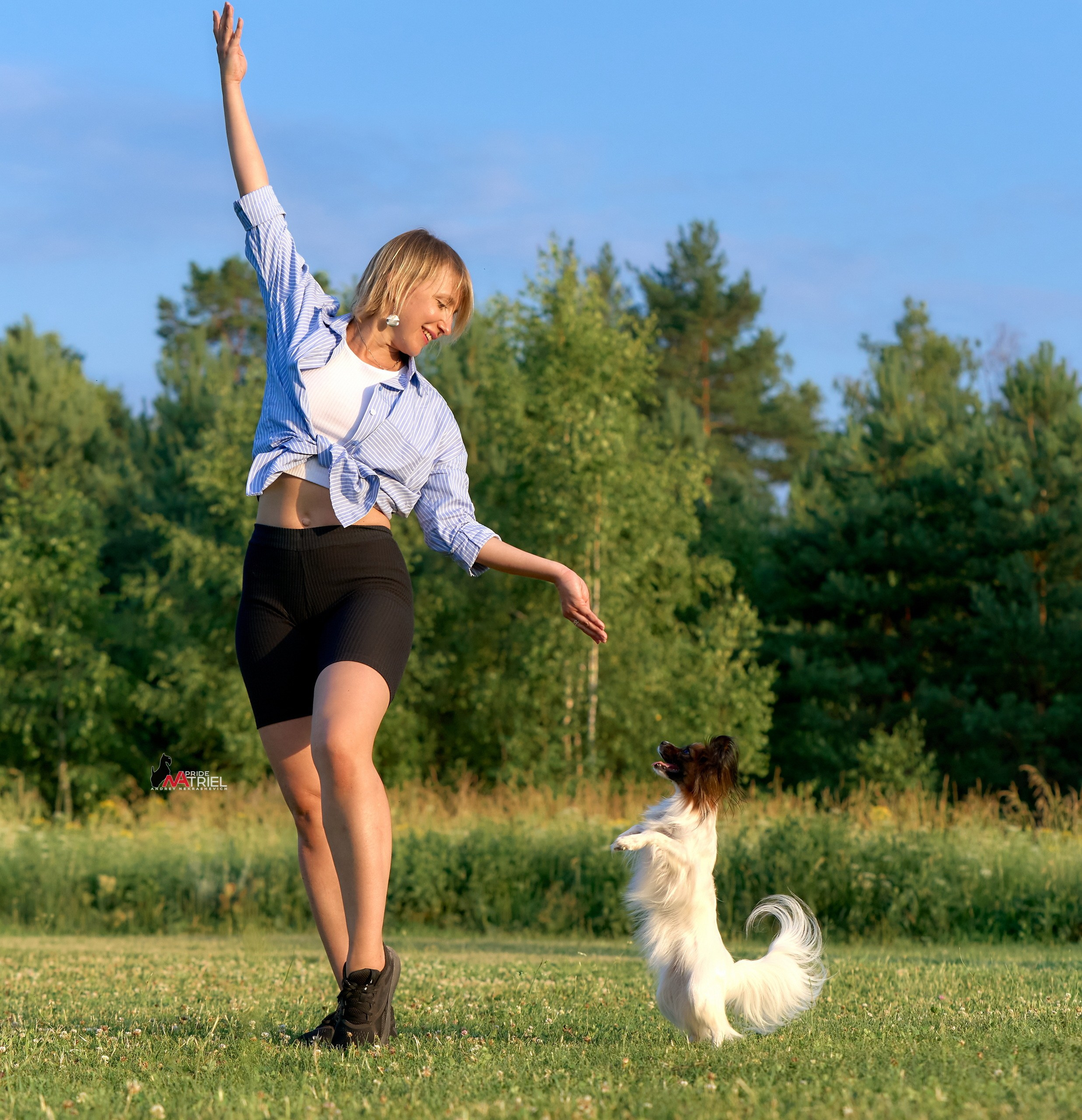Обидиенс и танцы с собаками — галерея NATRIEL