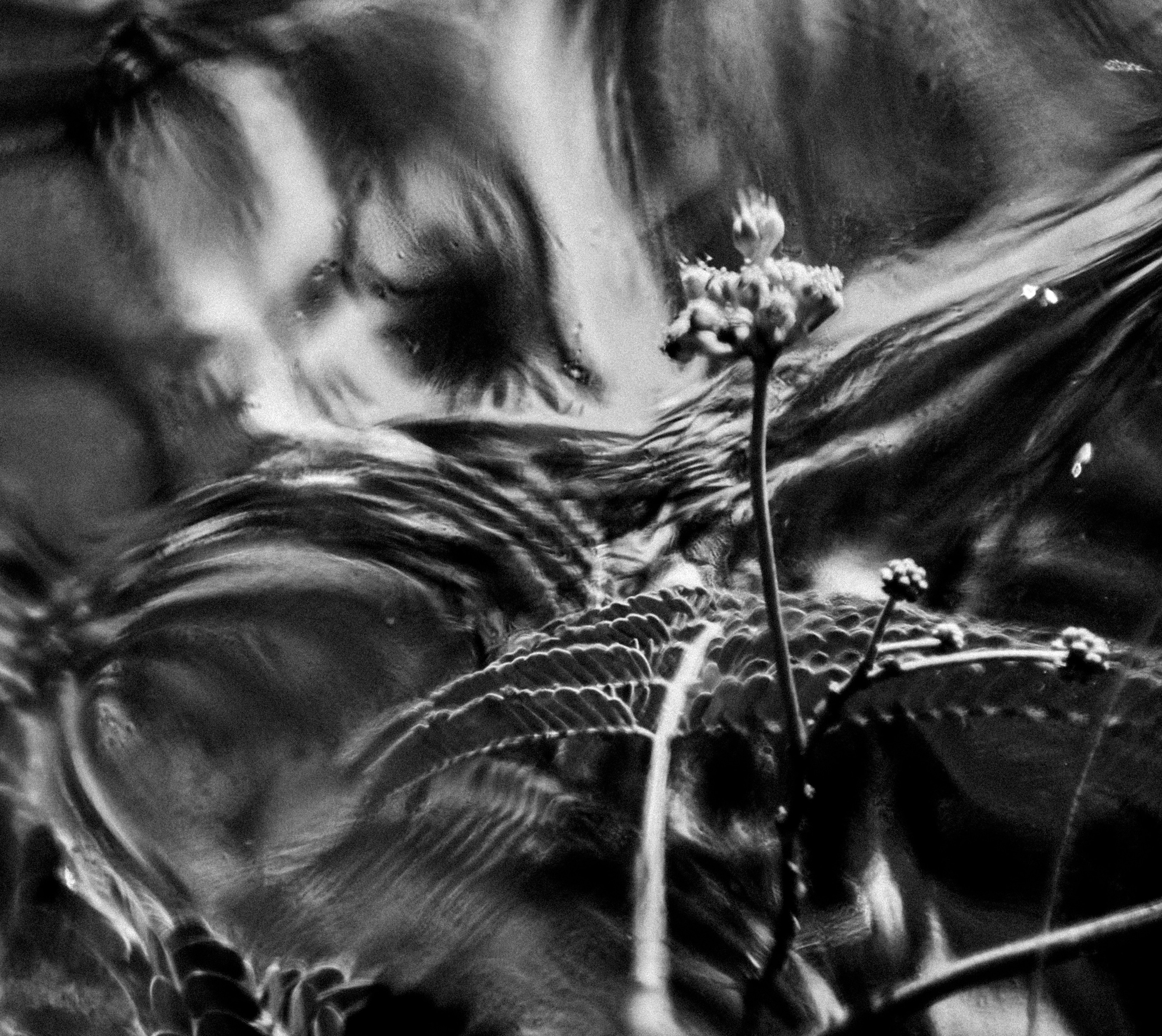 Точка черного. Сафонов Владислав, фотохудожник