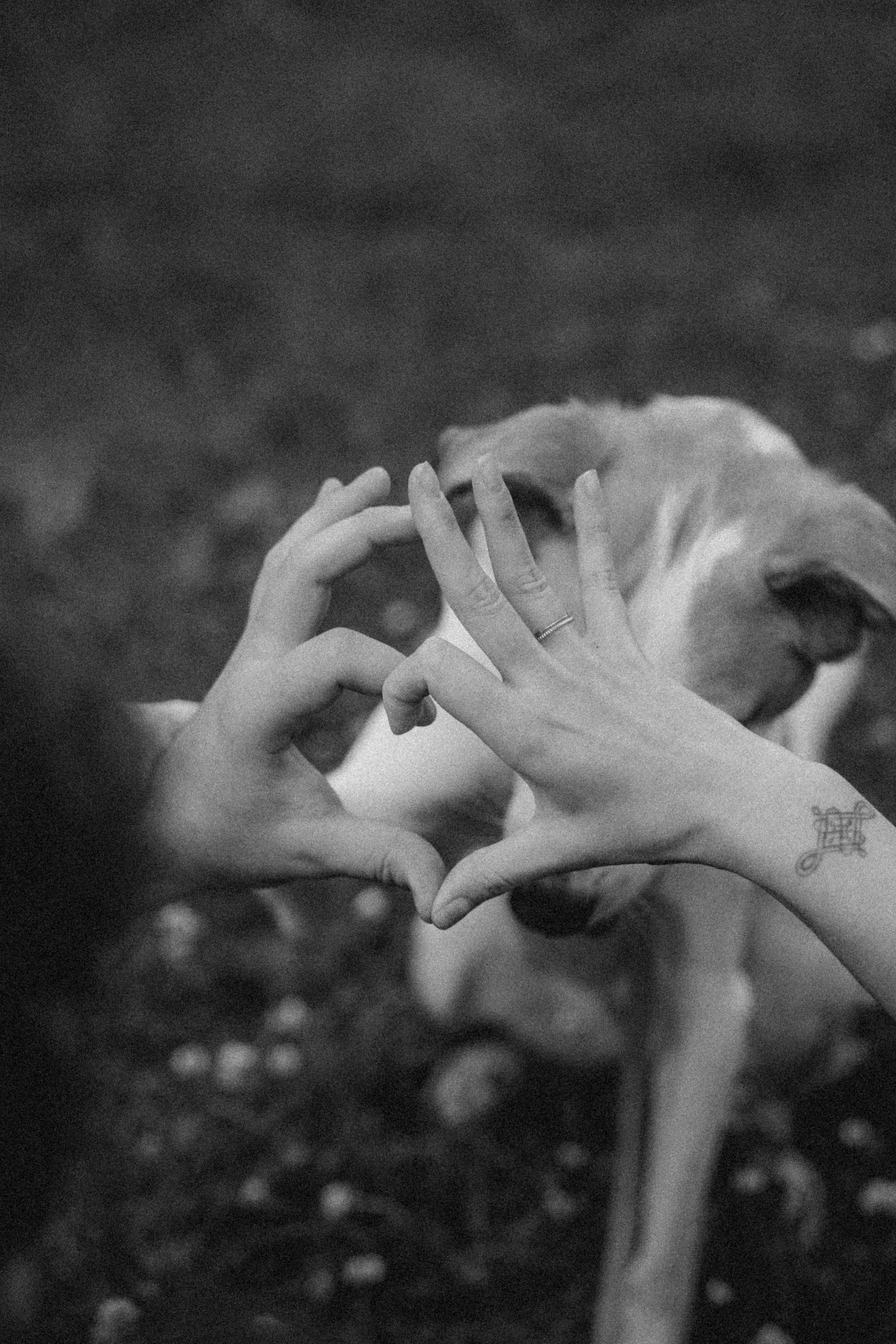 Парк Коломенское. Михаил, Анастасия и Ума. Фотограф анималист в Казани Алина Сулейманова. Фотограф животных