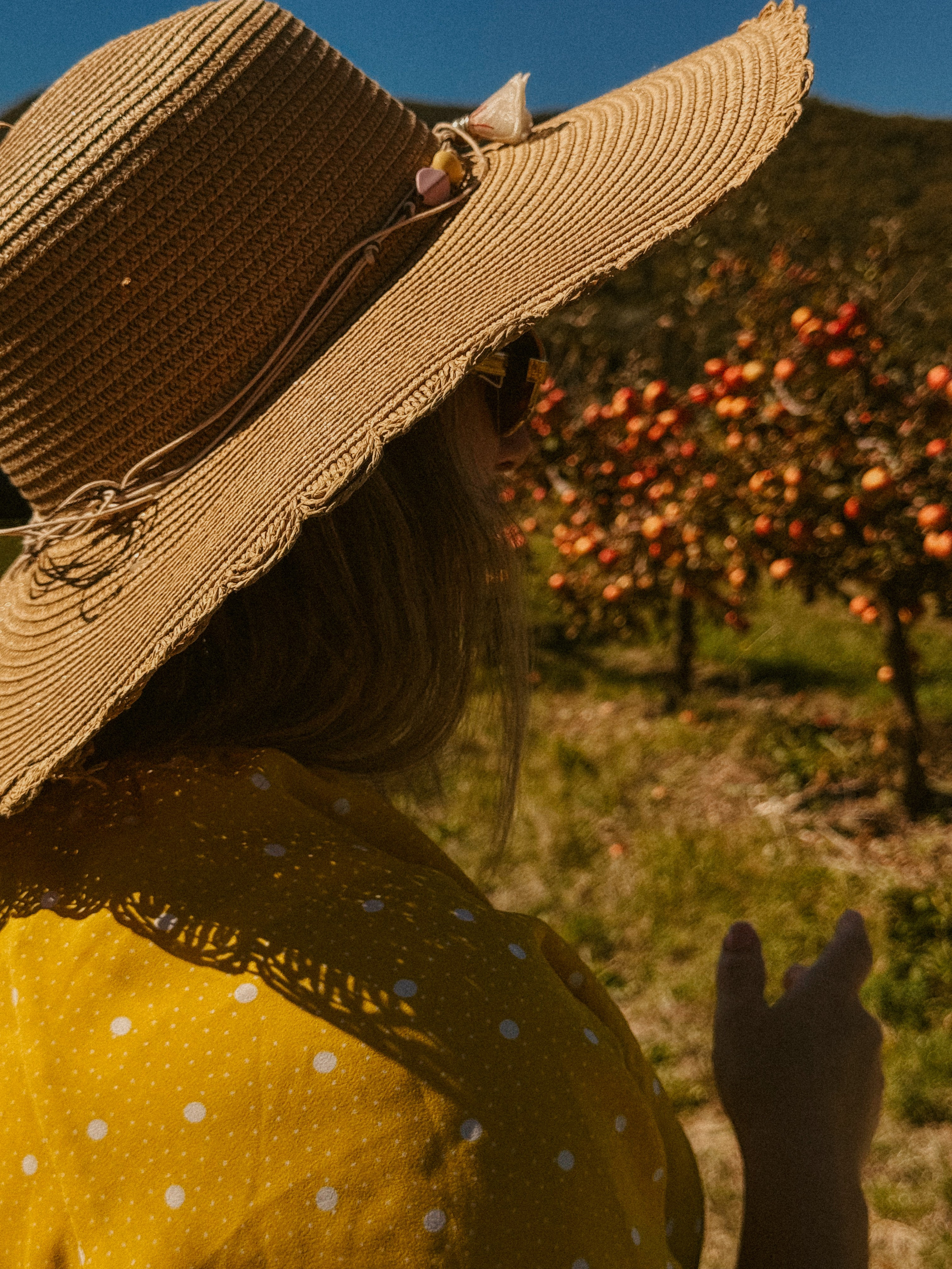 Ксюша Яблоки Сад. Inga Simonova | Семейный и детский фотограф у моря