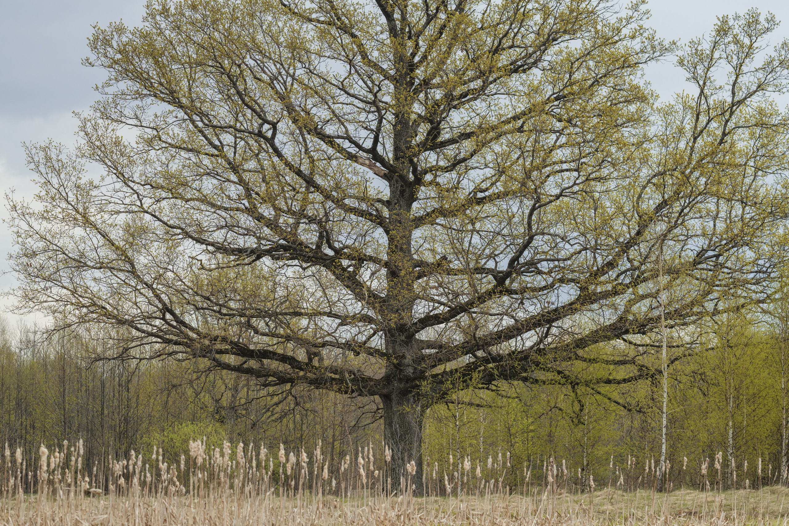 Водный поход 1-й кс по реке Случь. Репортажный фотограф Владимир Беляй