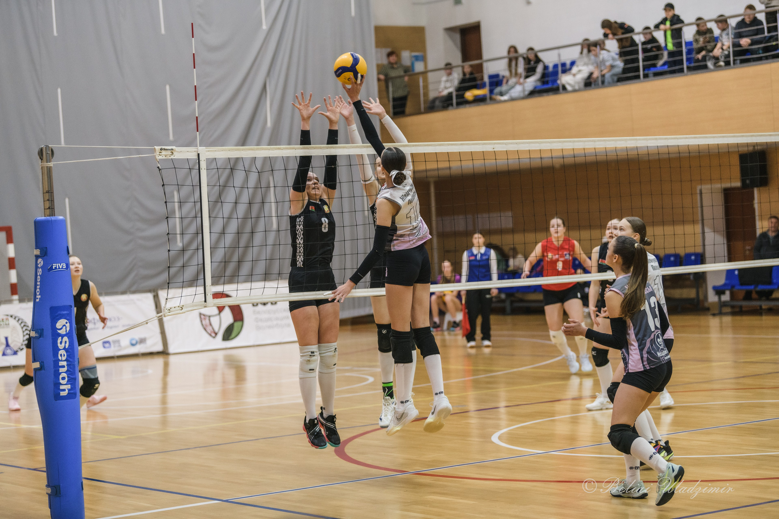 Первенство Республики Беларусь по волейболу среди девушек 2010–2011 гр. Репортажный фотограф Владимир Беляй