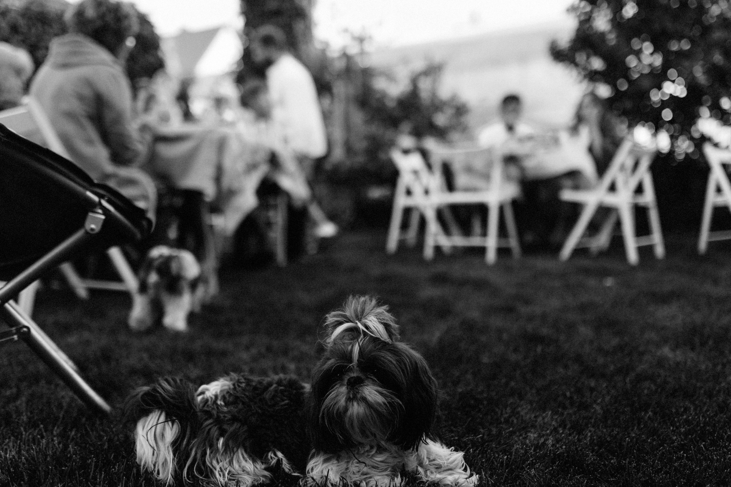 Алиса и Андрей. Катя Завьялова