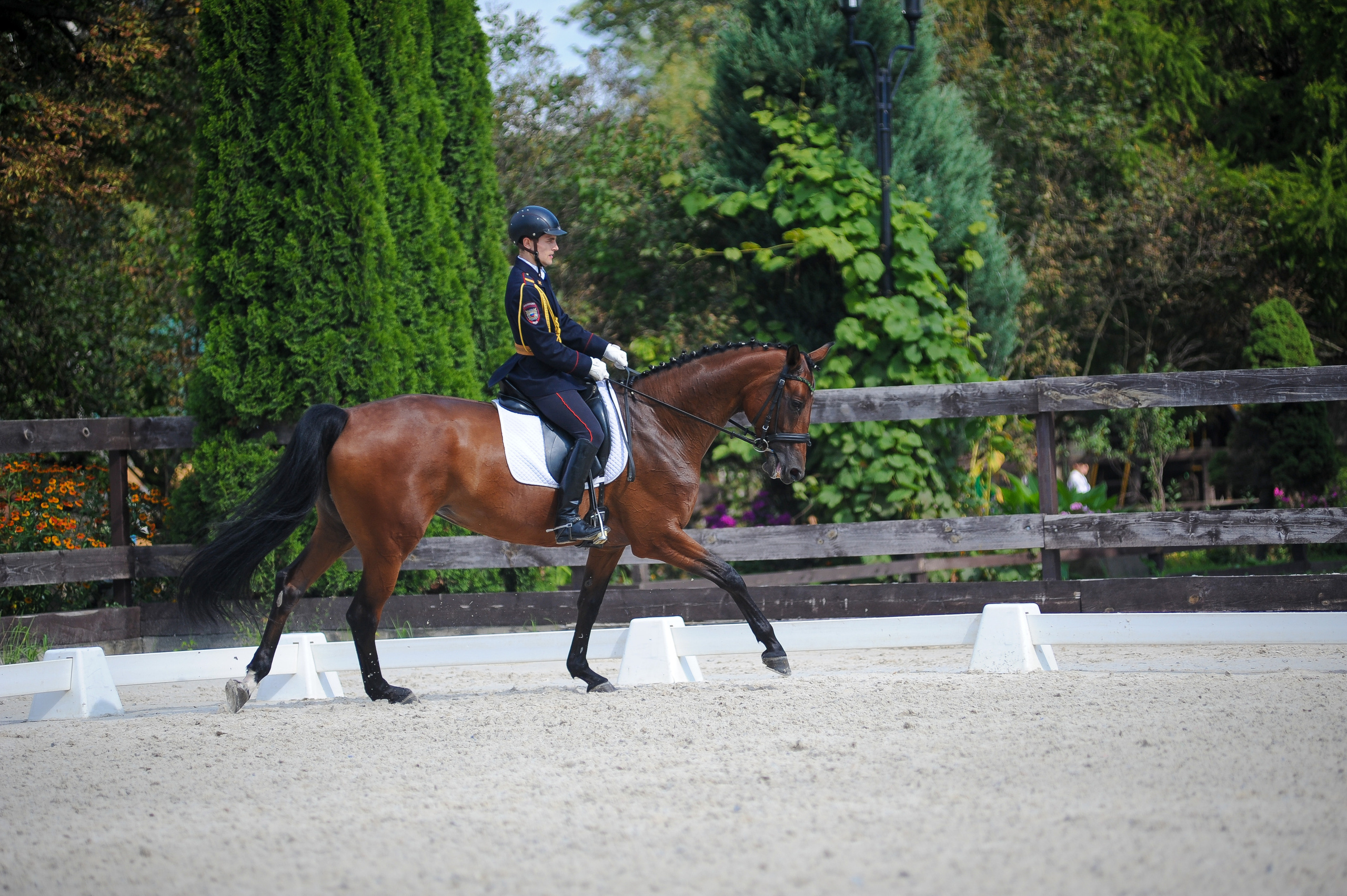 Конкур в конном клубе, репортаж Москва. Фотограф, визажист. Москва