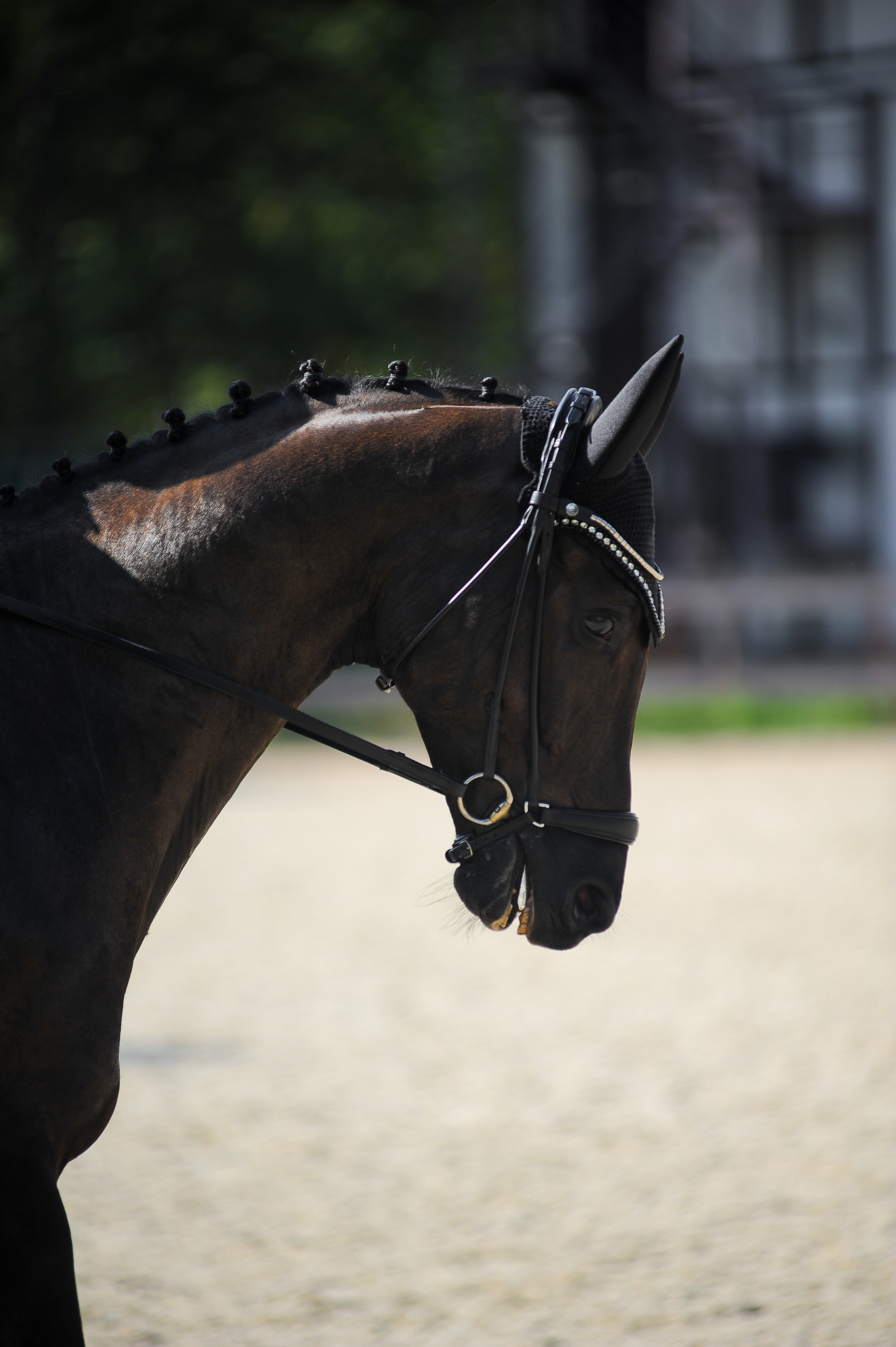 Конкур в конном клубе, репортаж Москва. Фотограф, визажист. Москва