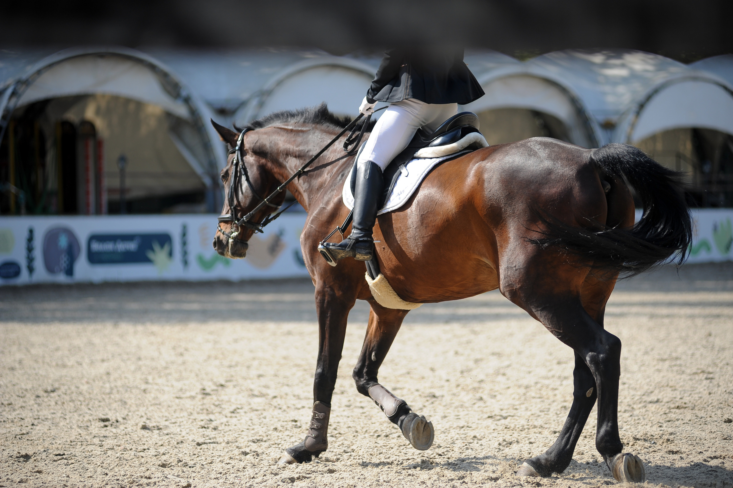 Конкур в конном клубе, репортаж Москва. Фотограф, визажист. Москва