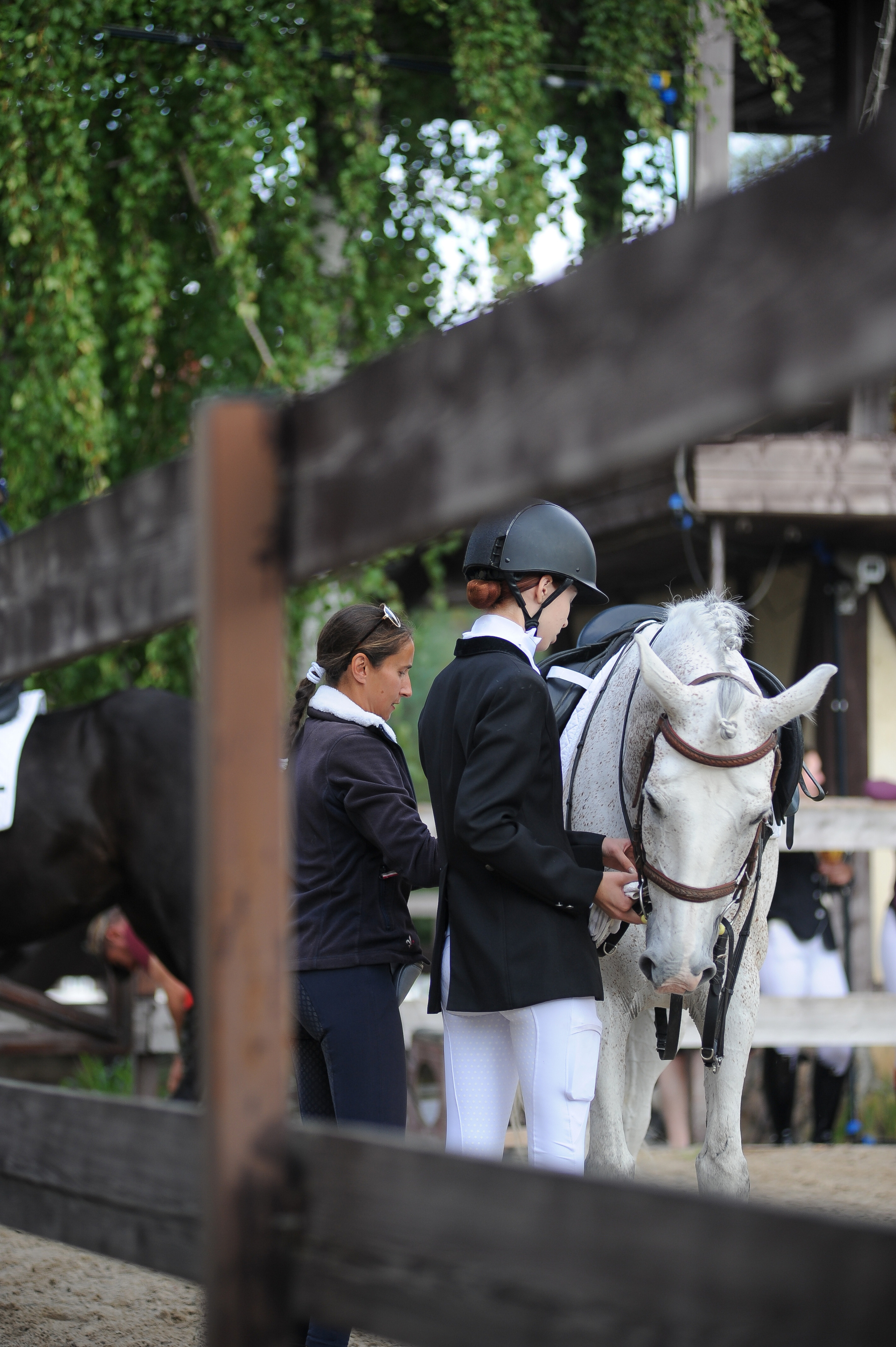Конкур в конном клубе, репортаж Москва. Фотограф, визажист. Москва