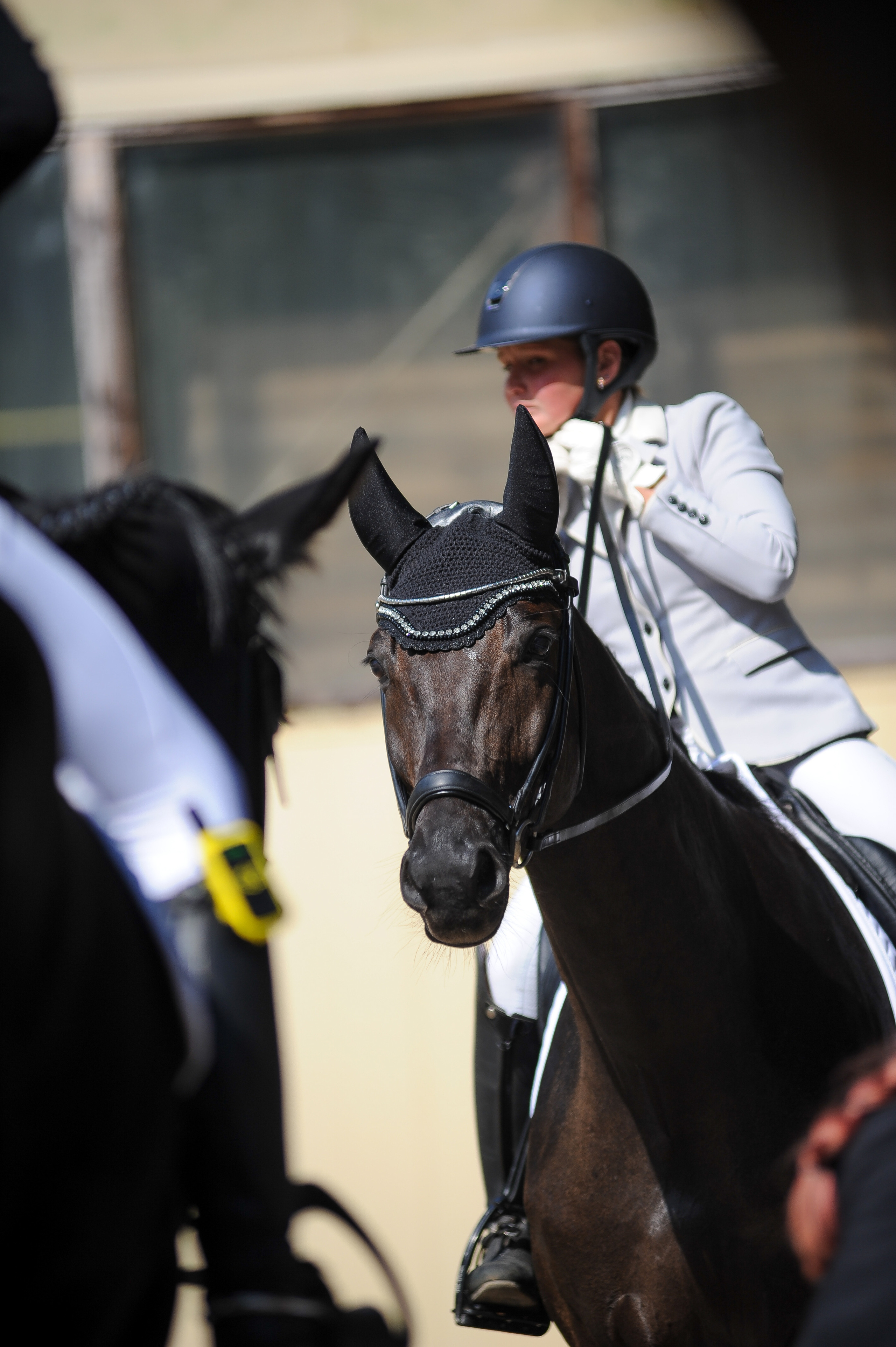 Конкур в конном клубе, репортаж Москва. Фотограф, визажист. Москва
