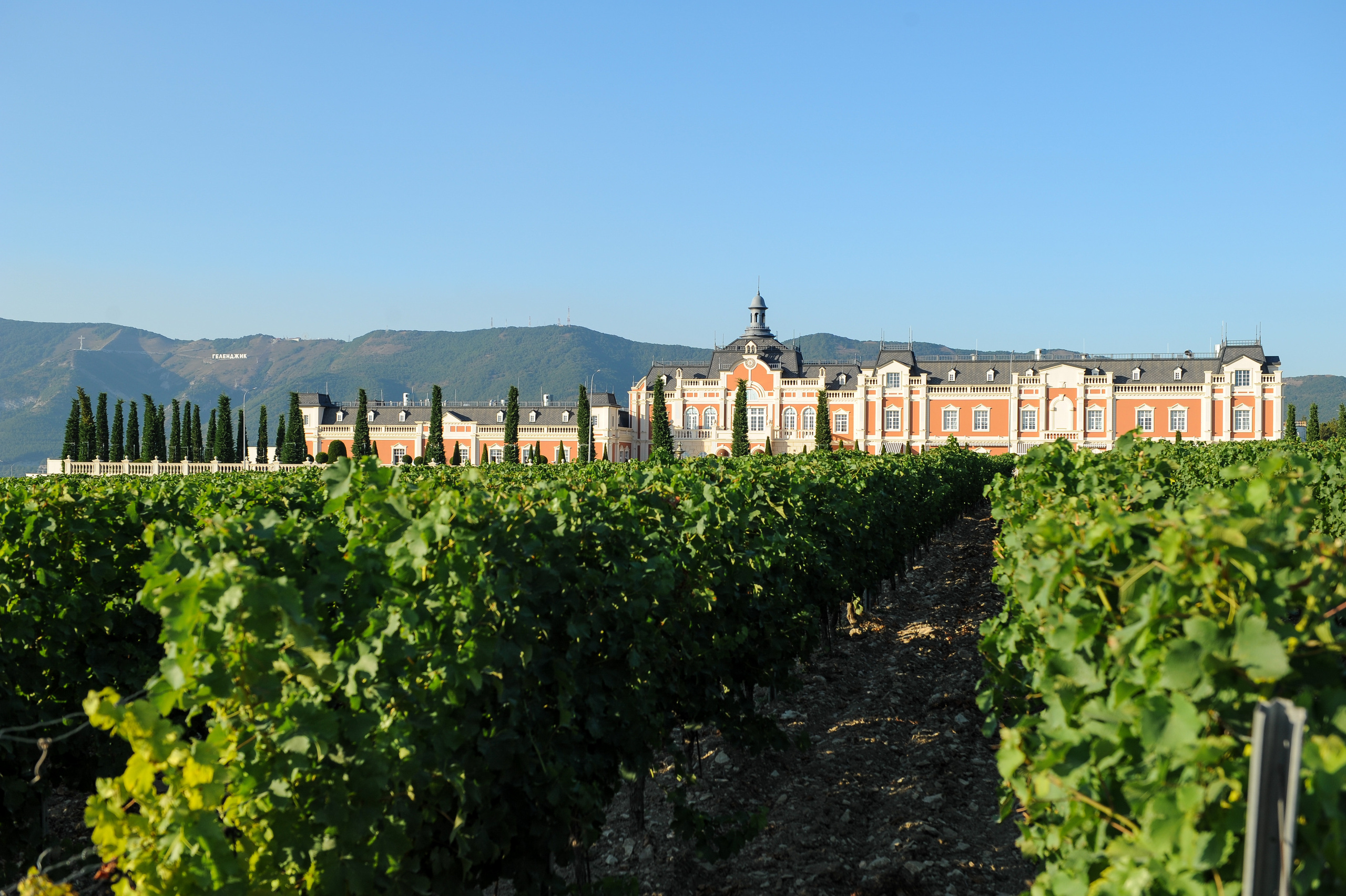 Винодельня Château de Talu. Фотограф, визажист. Москва
