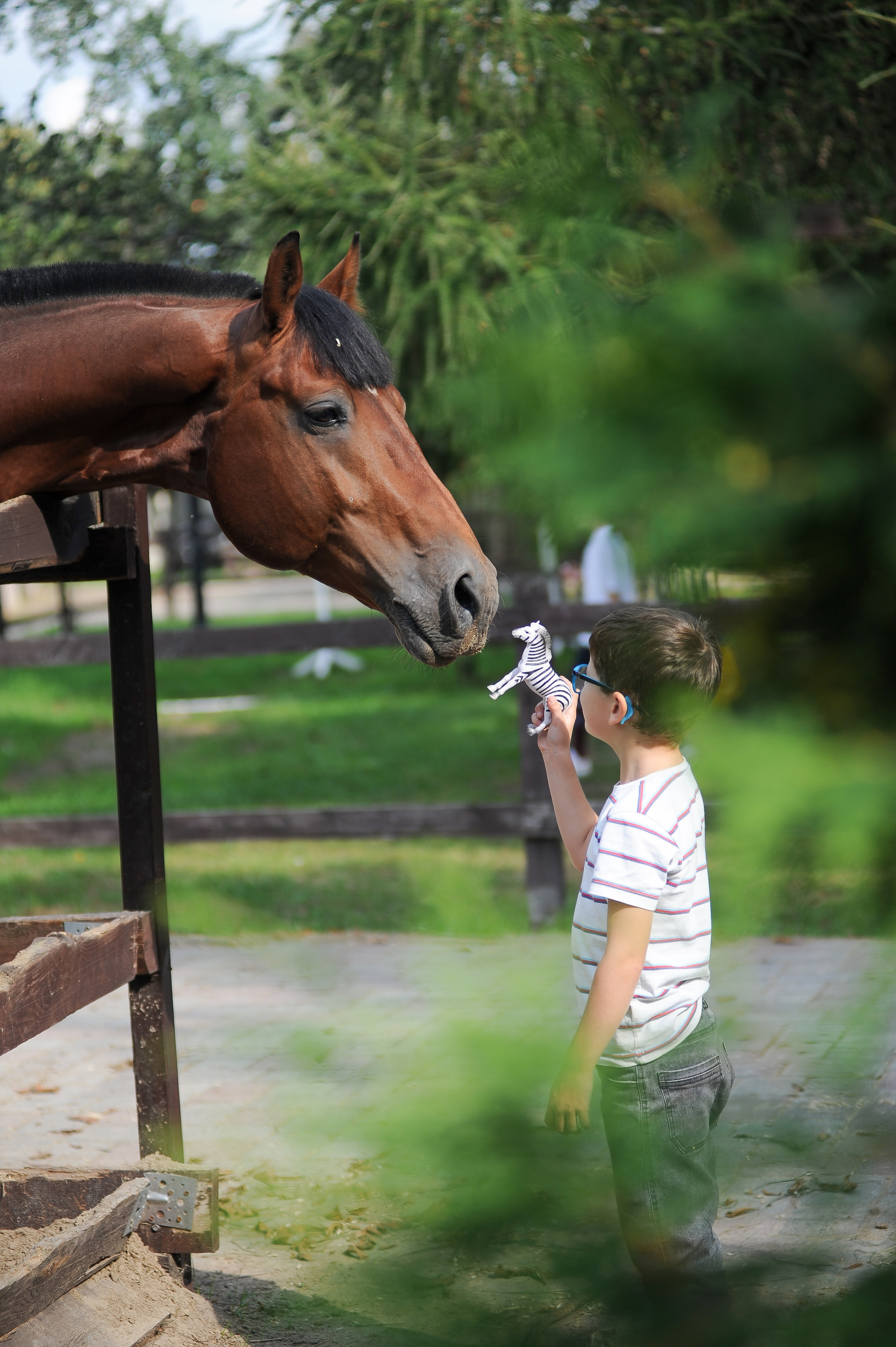 Конкур в конном клубе, репортаж Москва. Фотограф, визажист. Москва