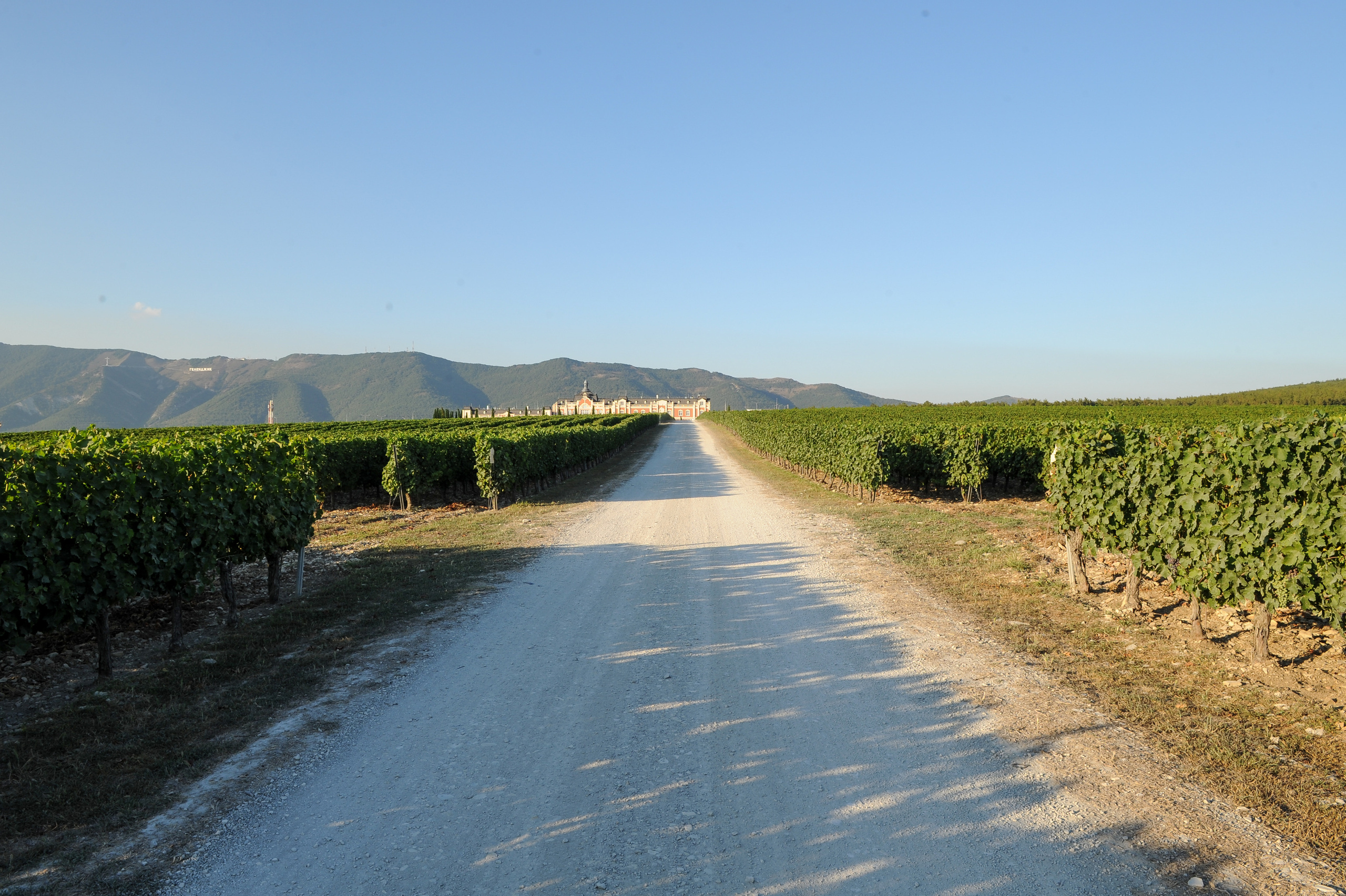 Винодельня Château de Talu. Фотограф, визажист. Москва