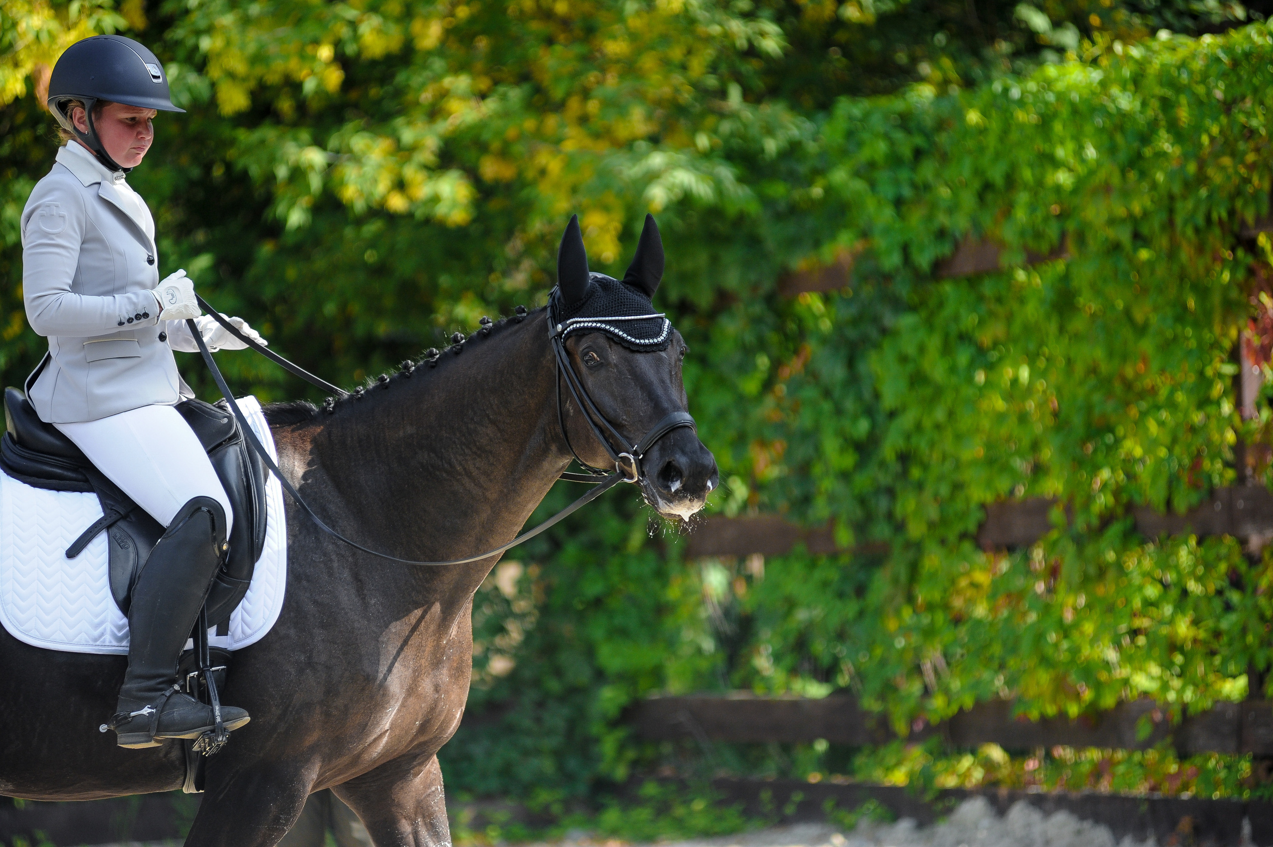 Конкур в конном клубе, репортаж Москва. Фотограф, визажист. Москва