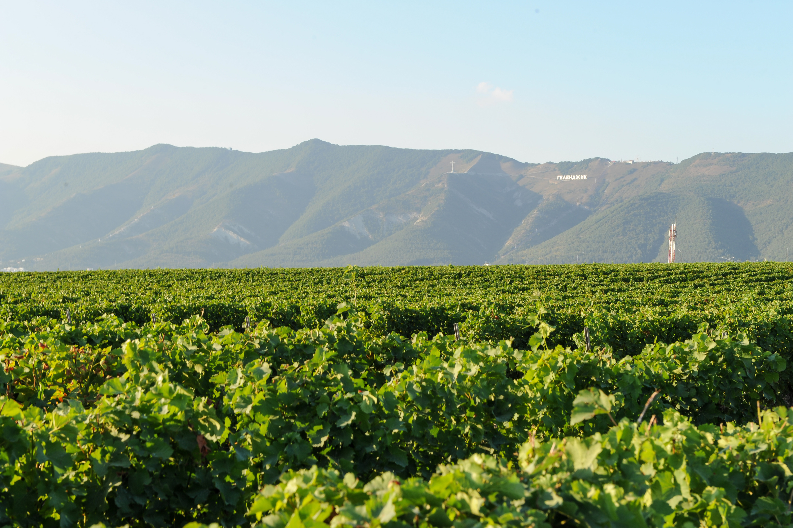 Винодельня Château de Talu. Фотограф, визажист. Москва