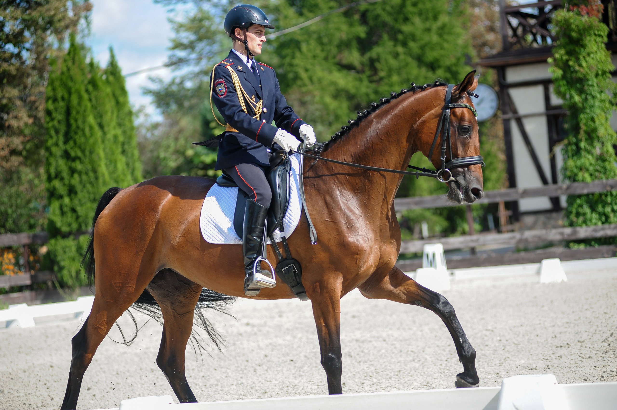 Конкур в конном клубе, репортаж Москва. Фотограф, визажист. Москва
