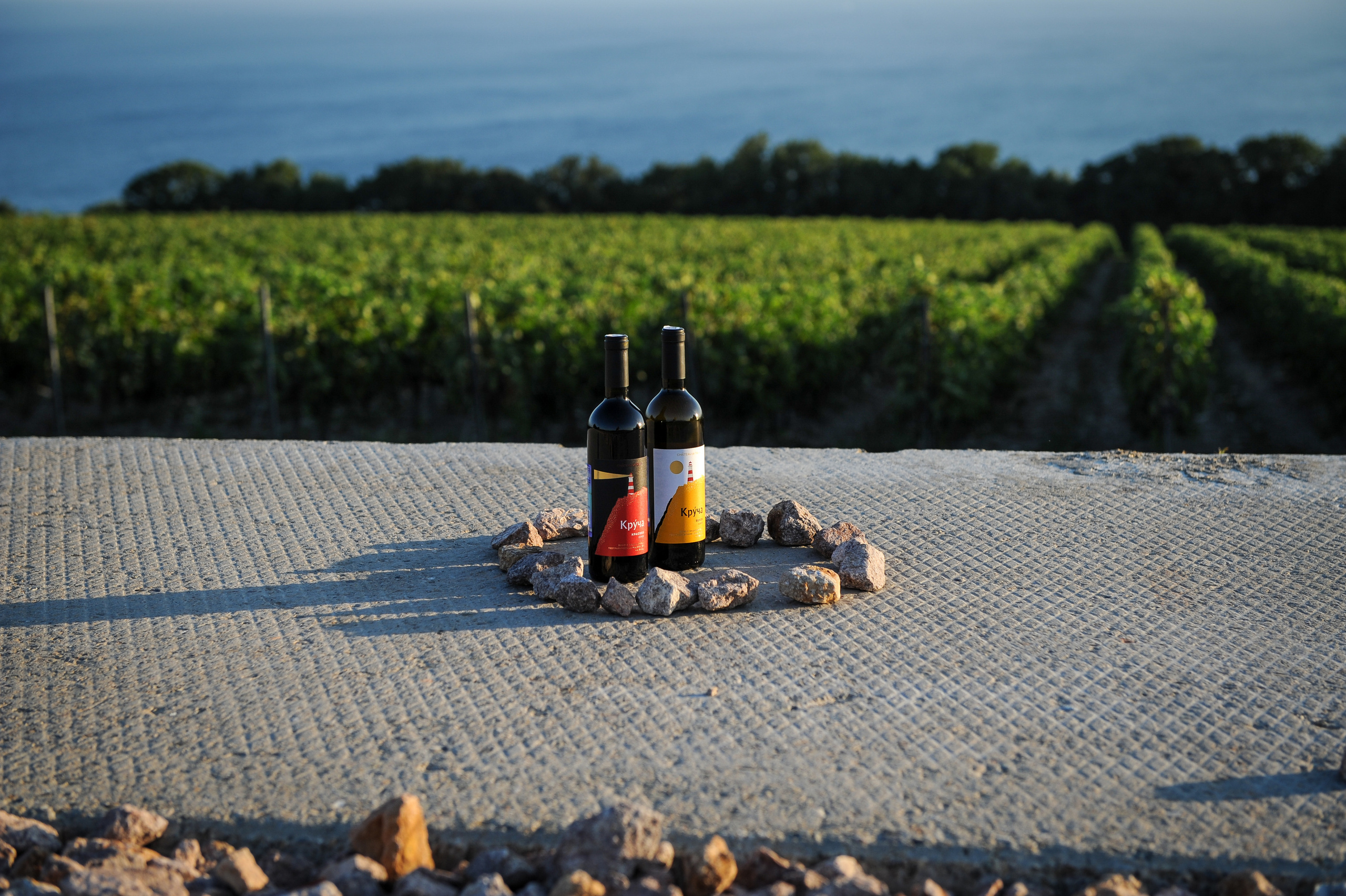 Винодельня Château de Talu. Фотограф, визажист. Москва