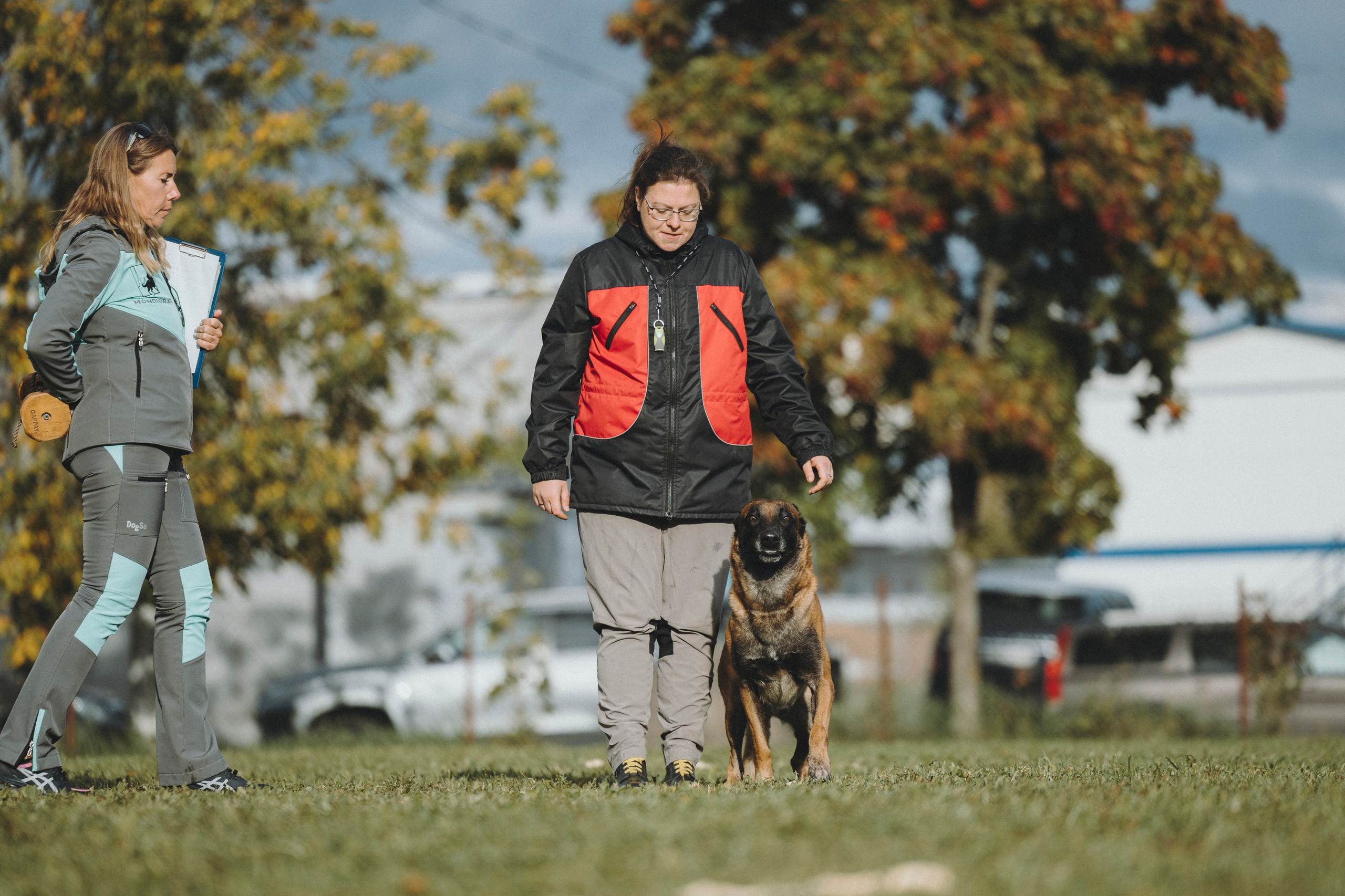 Испытания по мондьорингу г. Пушкин 29.09.2024. Фотограф-анималист Анна Маринич
