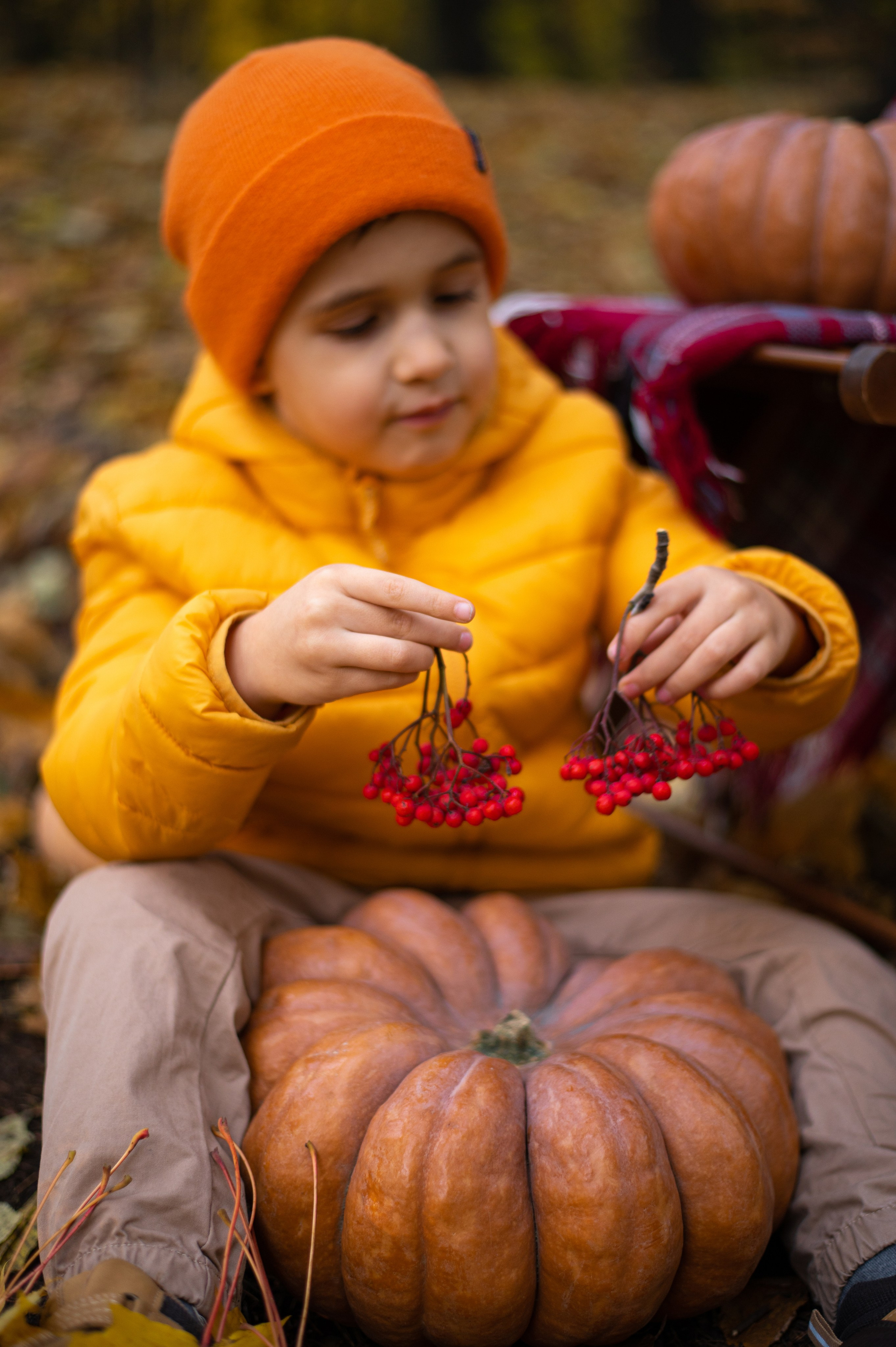 Осень в Шуваловском парке. Фотограф Санкт-Петербург | Дарья Першина