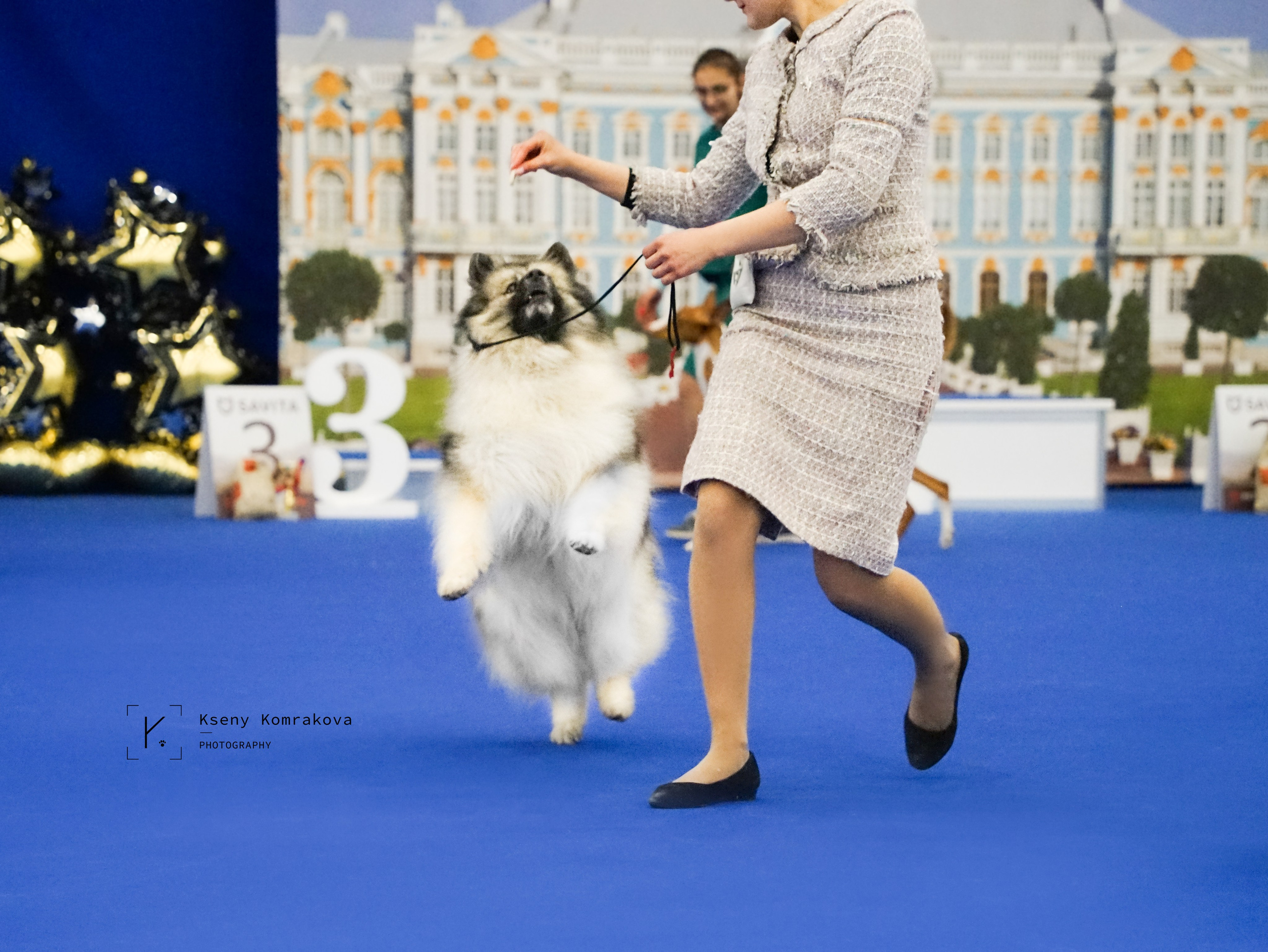 Съемка собак. Анималистика. Репортаж. Индивидуальная съемка