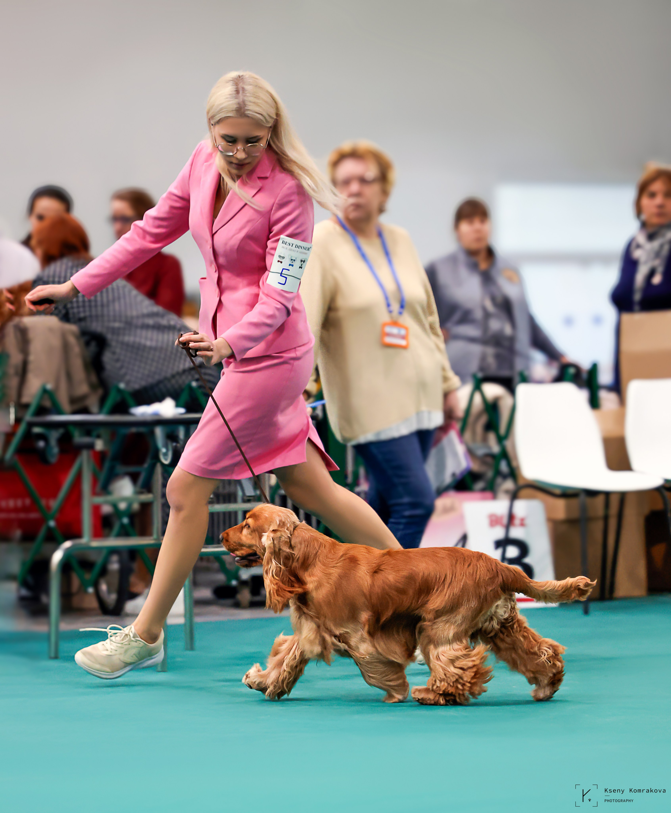 Съемка собак. Анималистика. Репортаж. Индивидуальная съемка