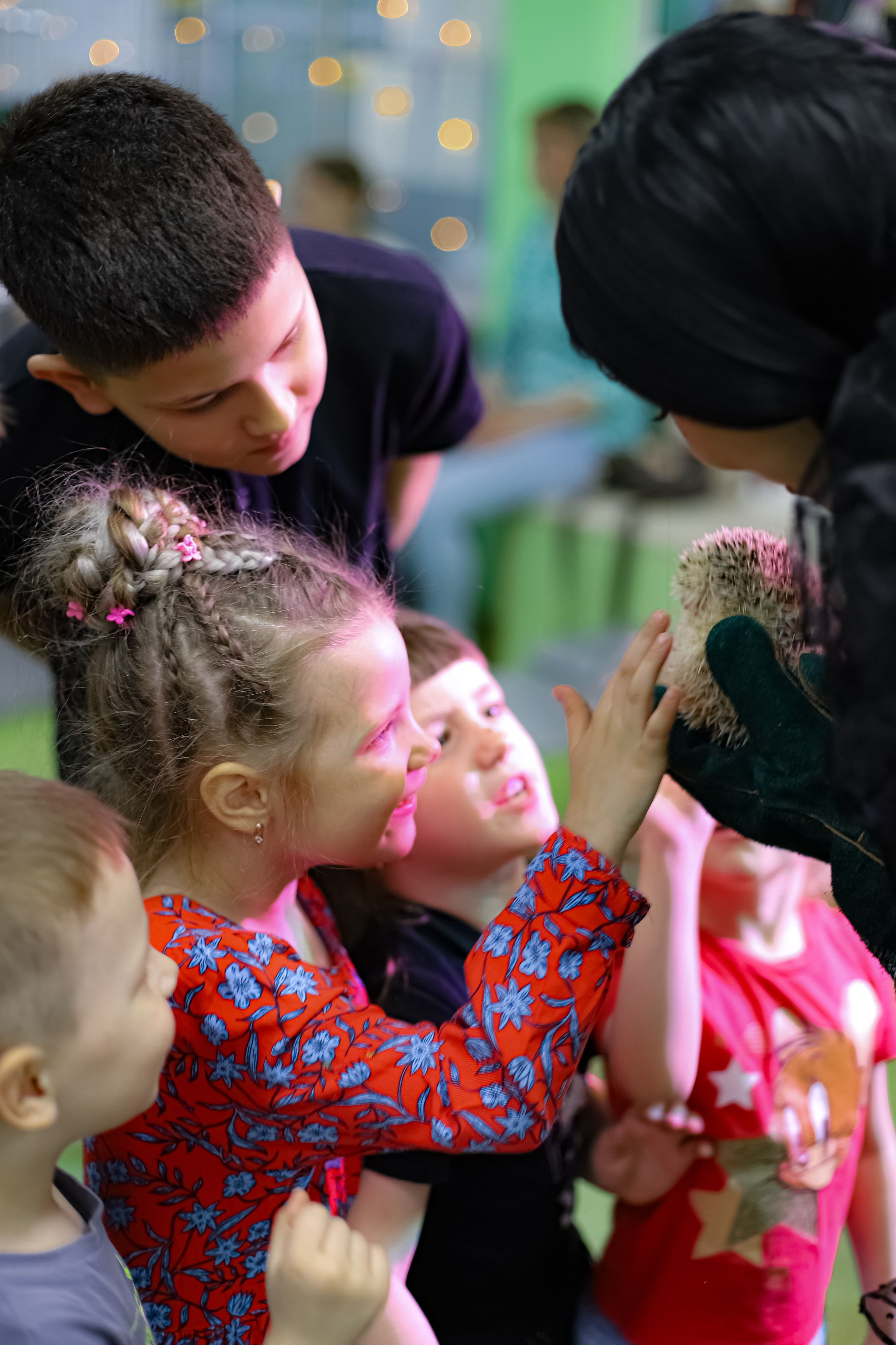 POLINA 5 YEARS. Photokarish