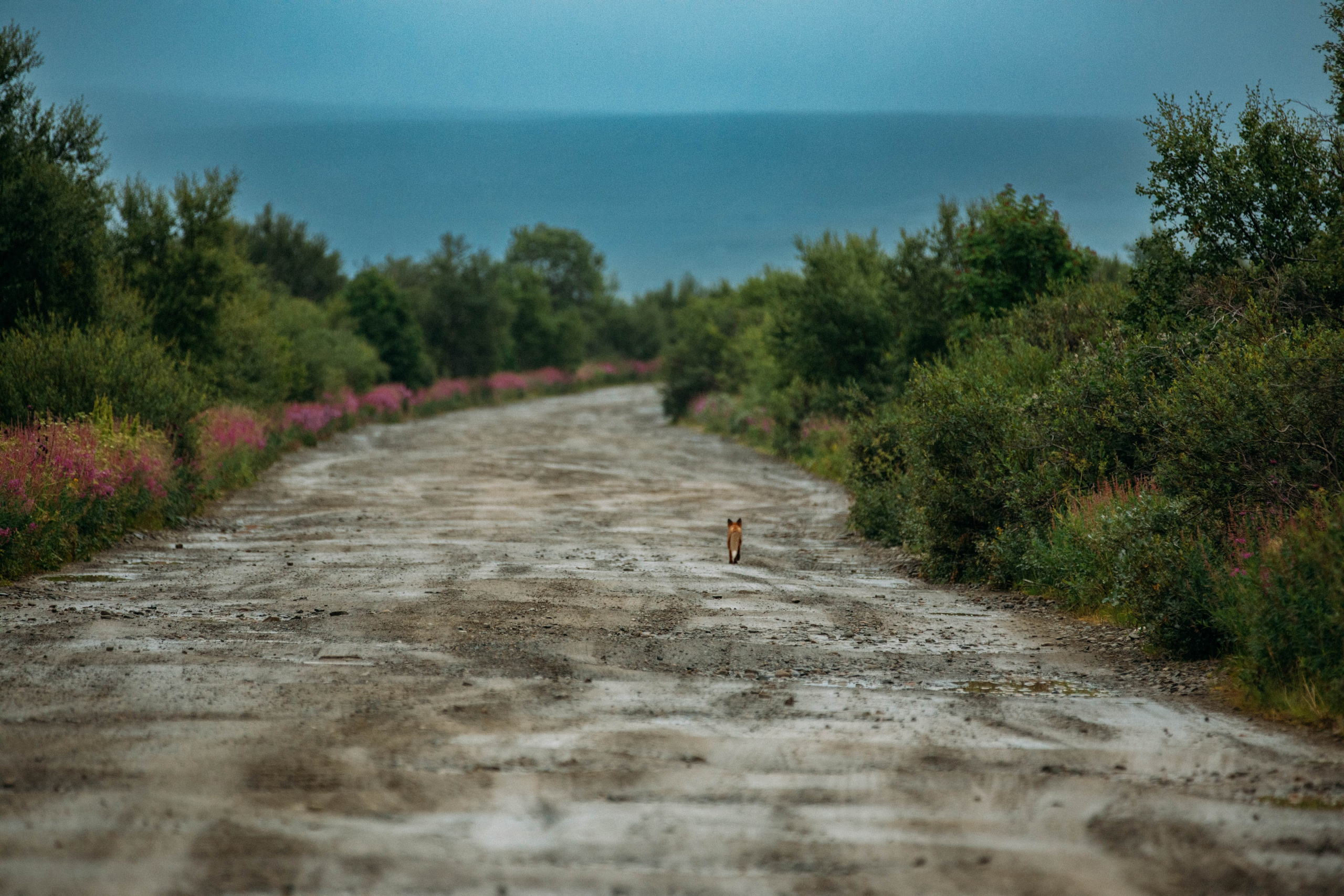 Кольский полуостров. Фотографирую для себя, своей семьи и друзей!