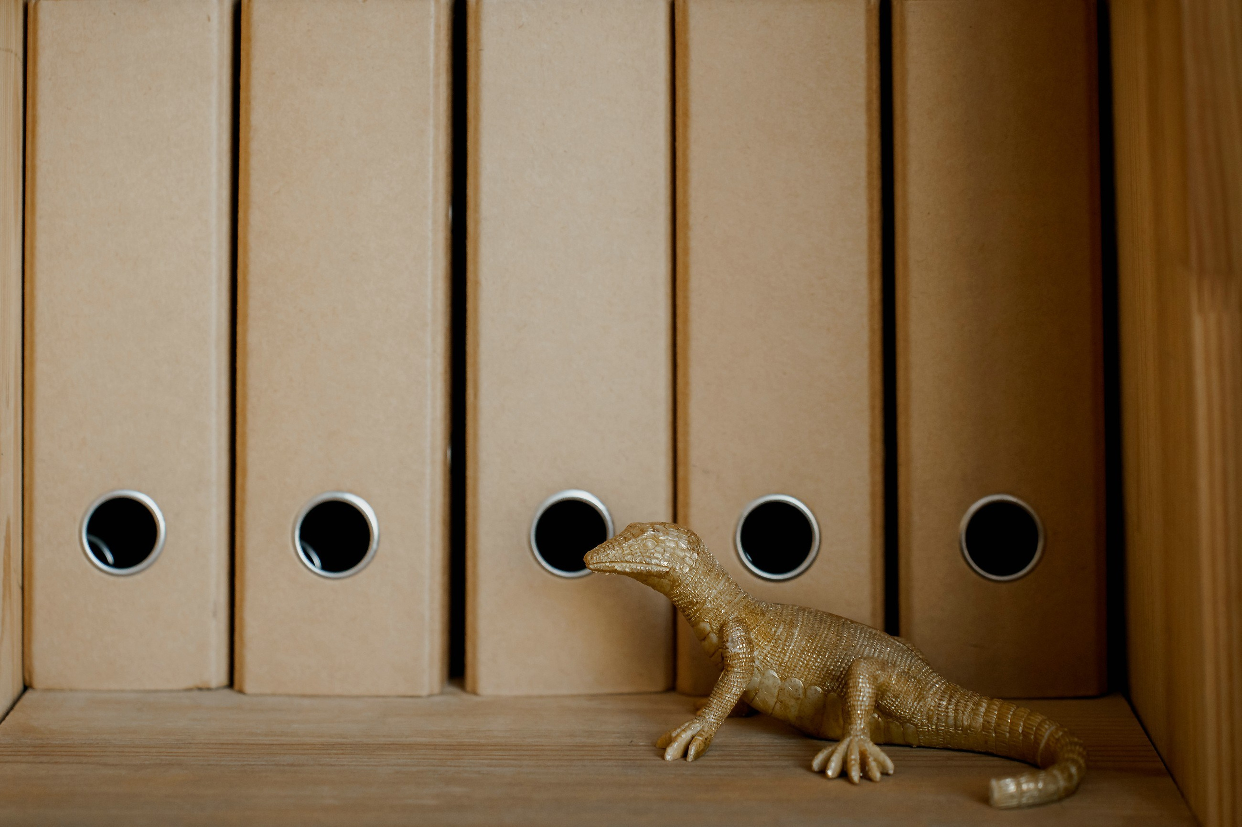 Бизнес фотосессия Москва. Свадебный и семейный фотограф в Москве Светлана Зоткина