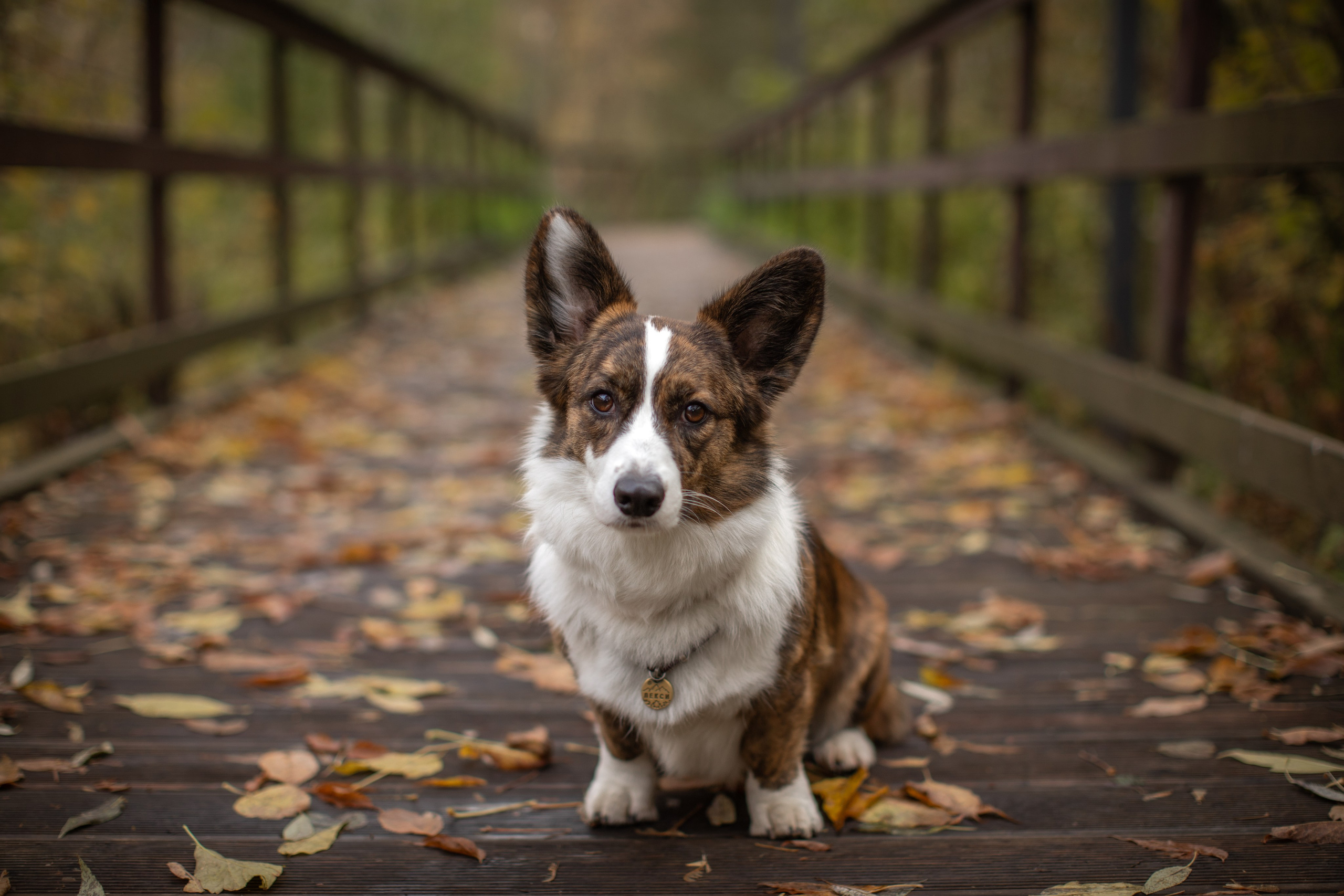 Михаил и Ксения. Детский и семейный фотограф Мария Киселёва. Москва
