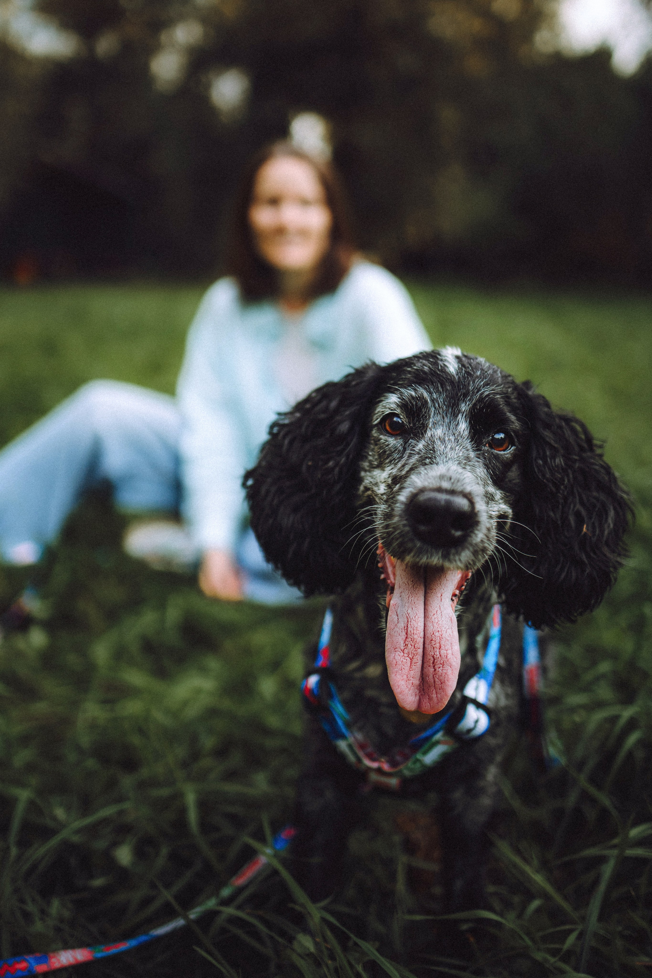 Маша и Ларри