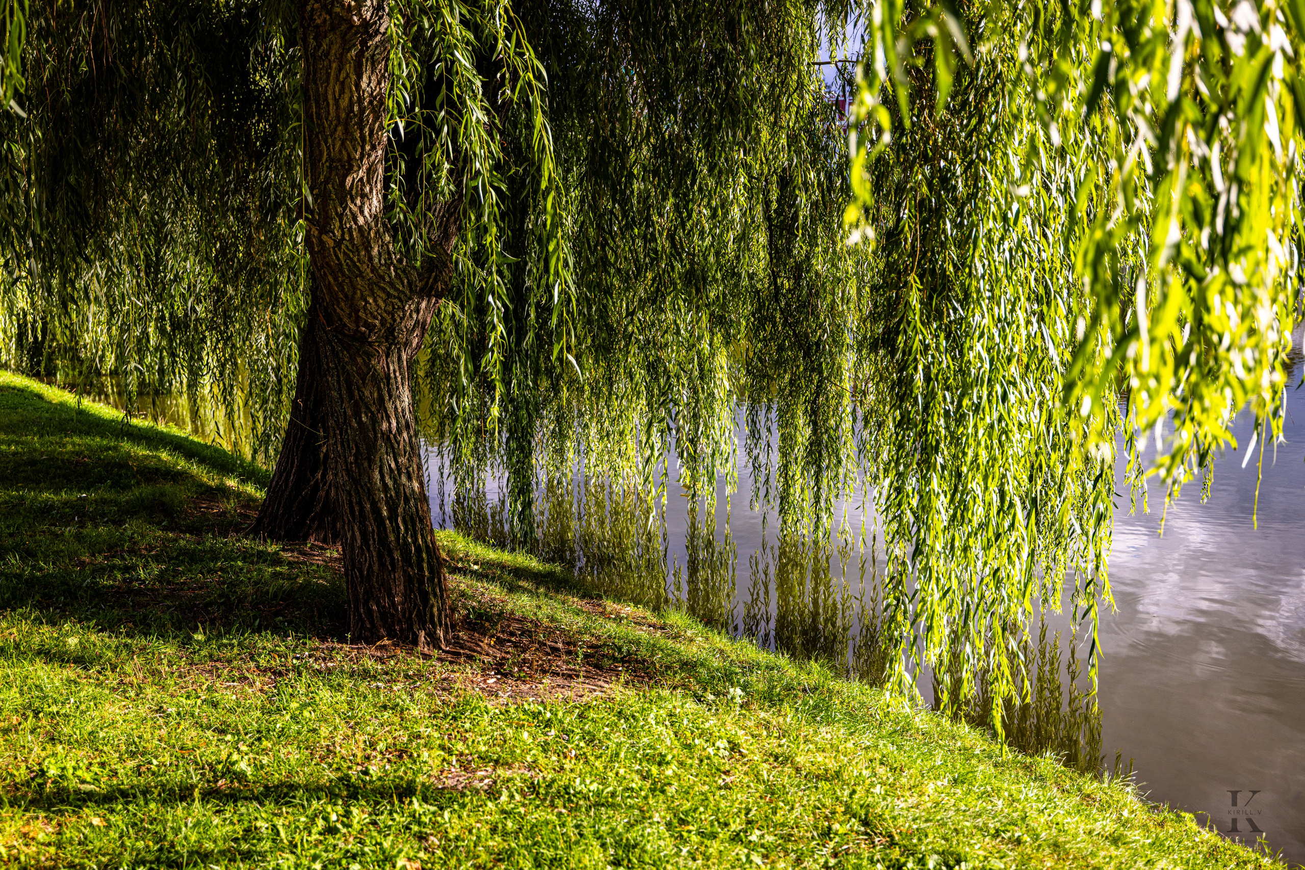 Москва. Новодевичий монастырь. Август 2025. Фотографирую жизнь! Московский фотограф волонтер