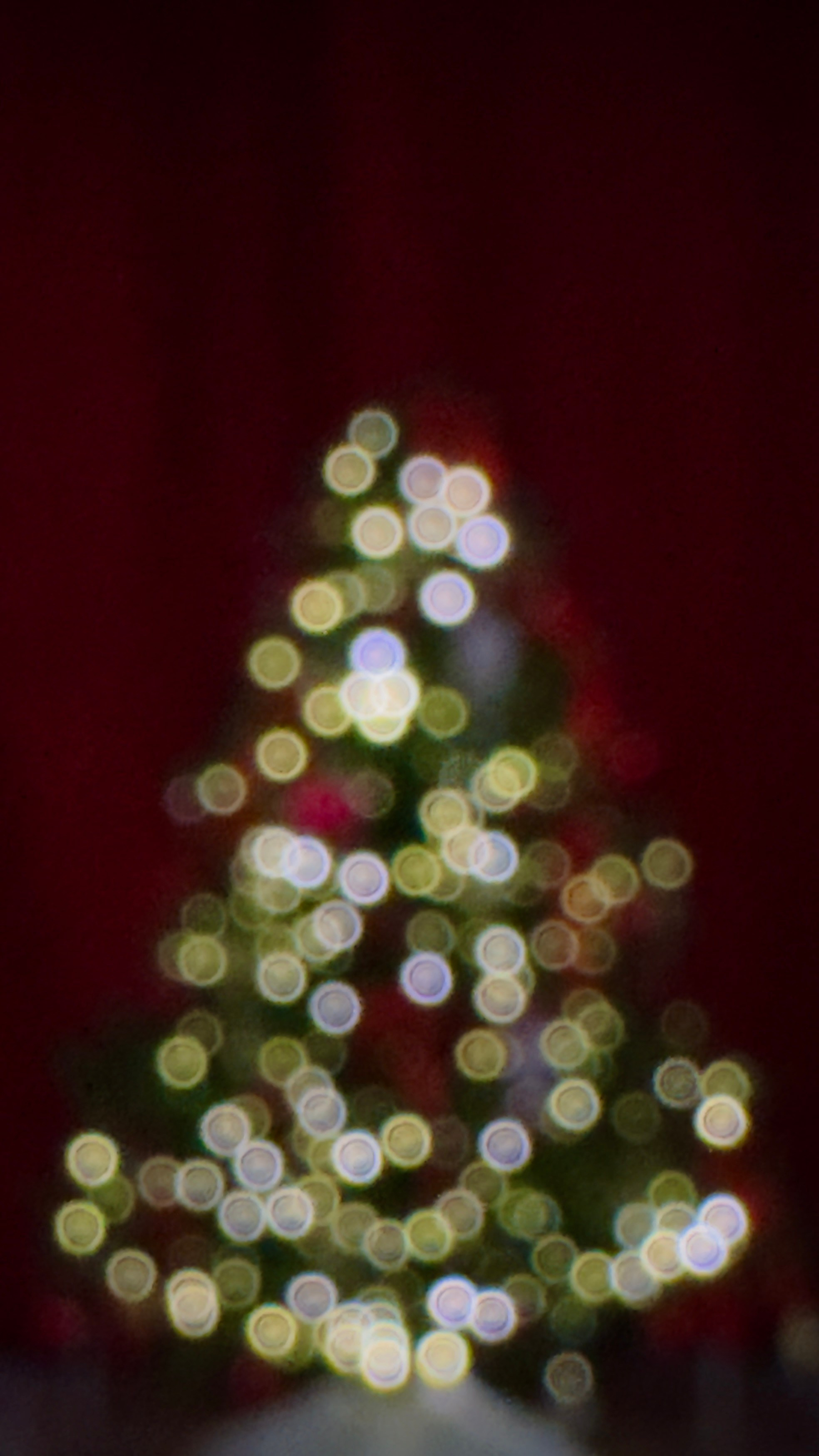 Эля и новогоднее настроение. Фотограф видеограф в Москве и Московской области Саша Секрет