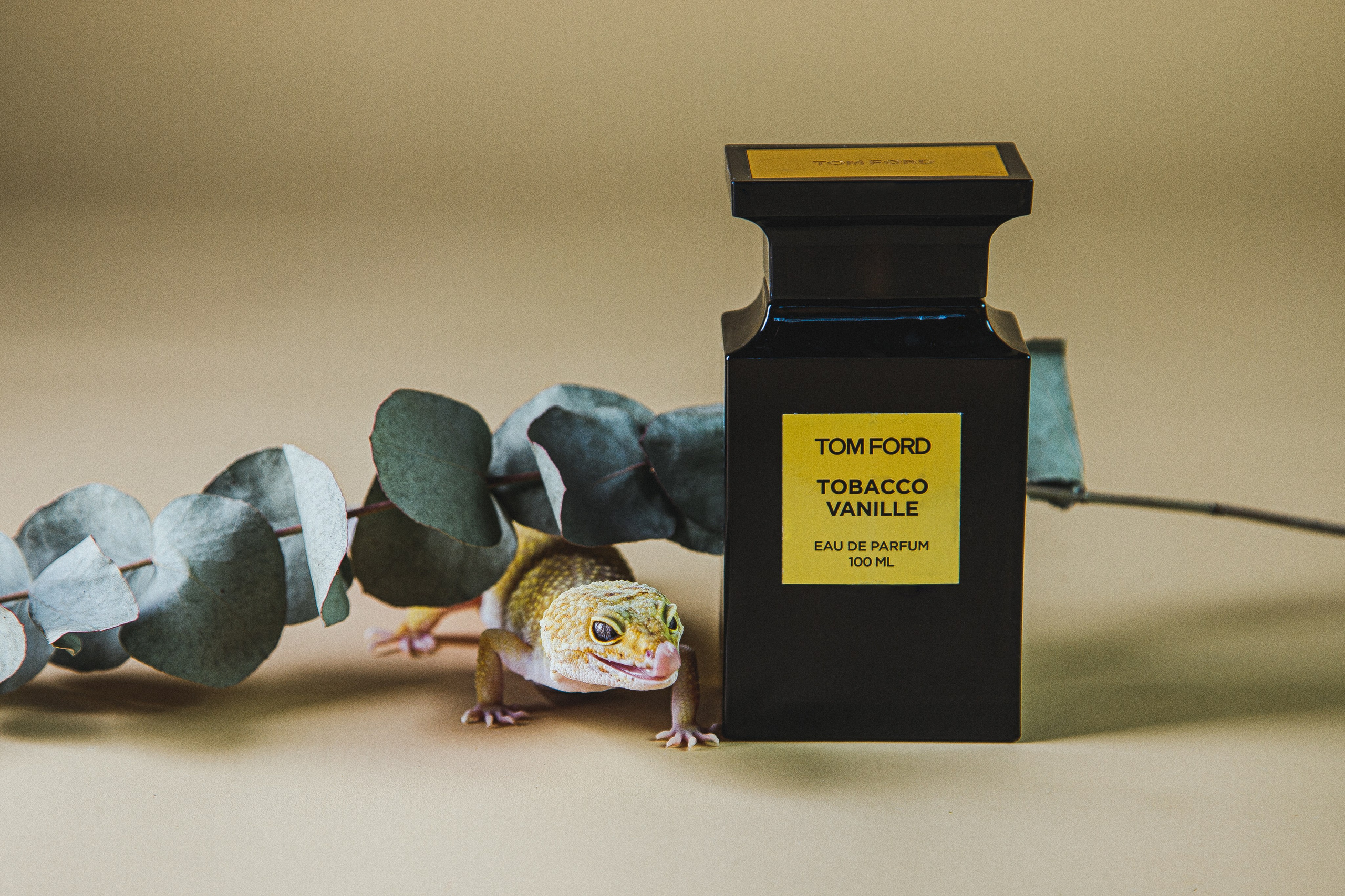 Екатерина Осипова — профессиональный фотограф в Москве