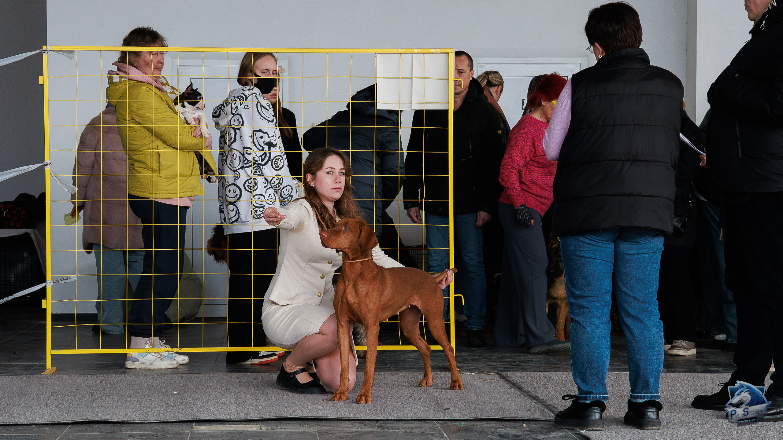 Выставки. Фотограф Марк Файзулин