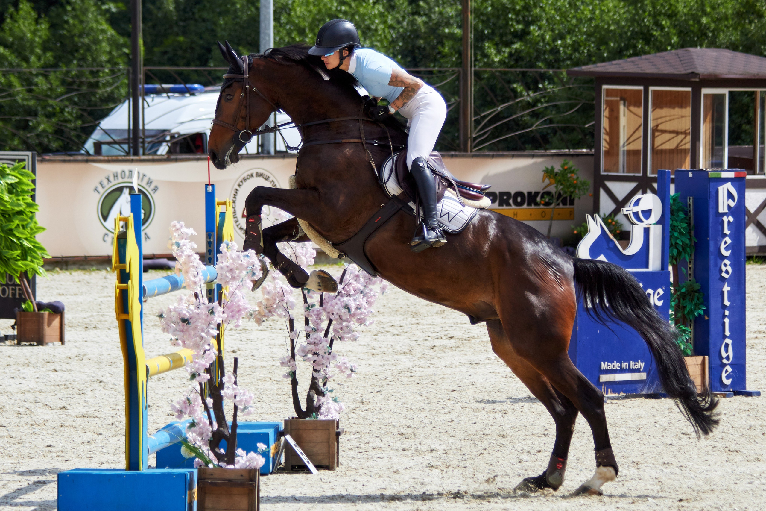 Конкур в «Виват, Россия». Фотограф анималист — Тула, Москва