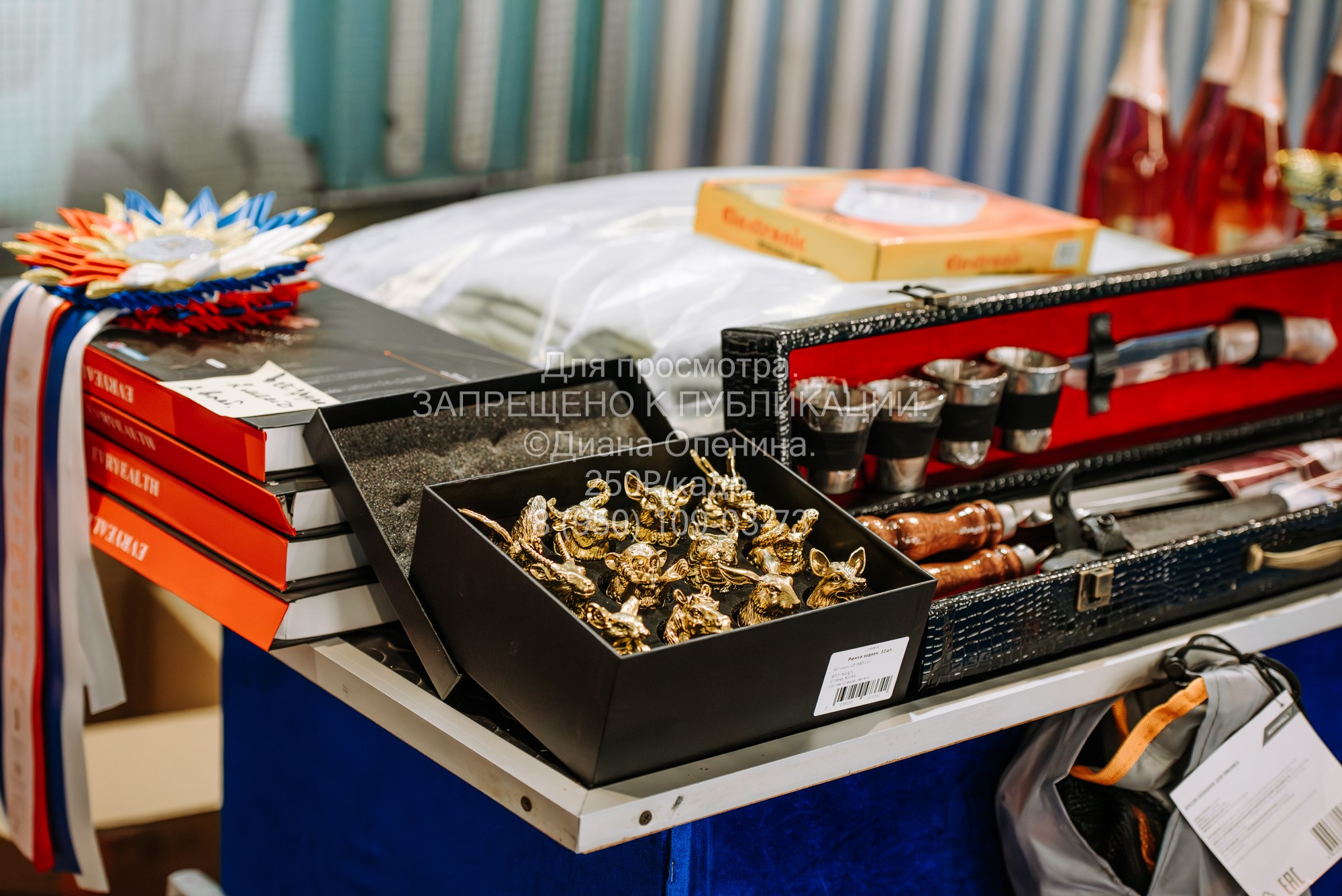 Национальная выставка собак всех пород ранга САС-IKU «Кубок Красноярск. Фотограф Диана Оленина Красноярск / Братск