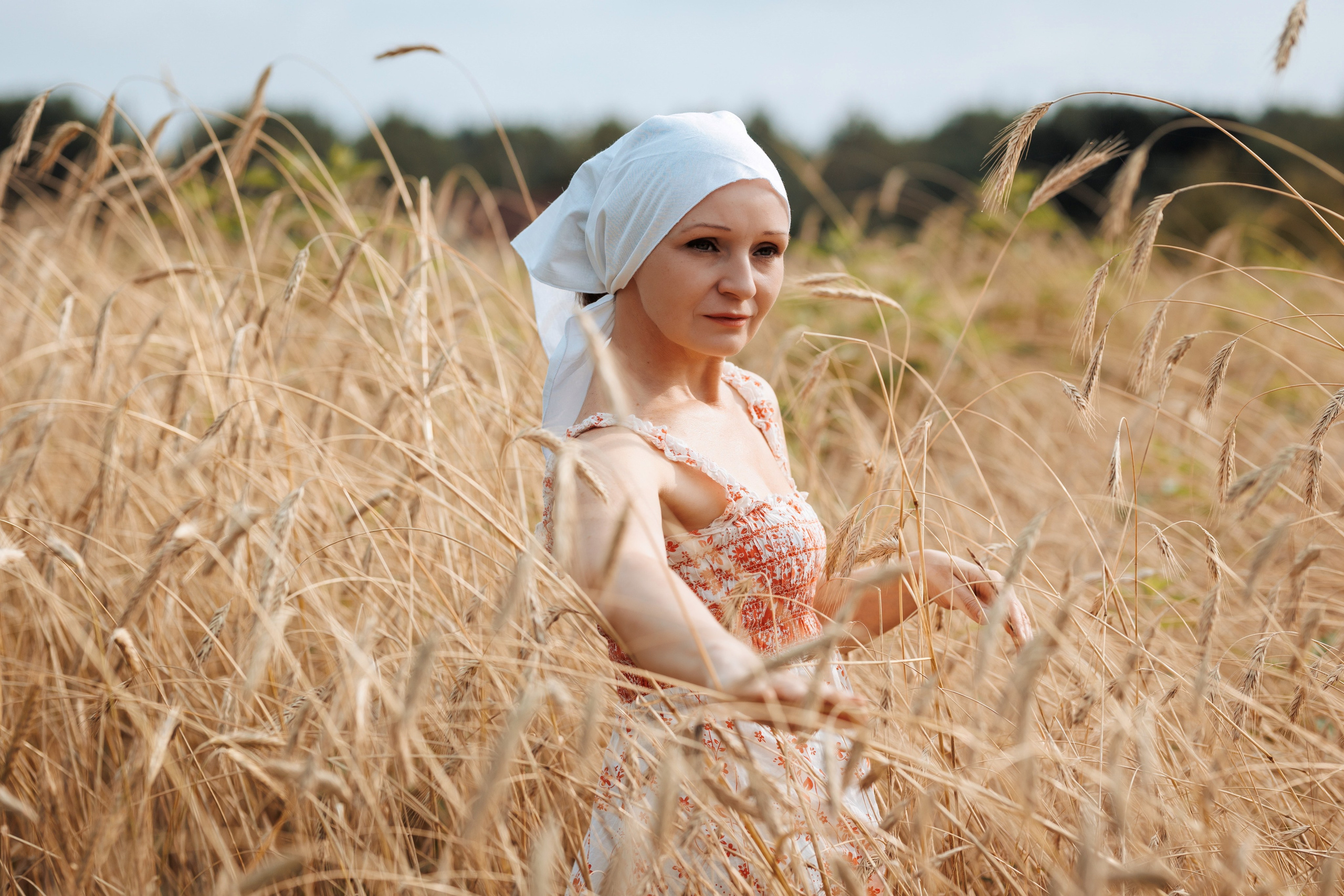 2025-08-10. Пшеничное поле