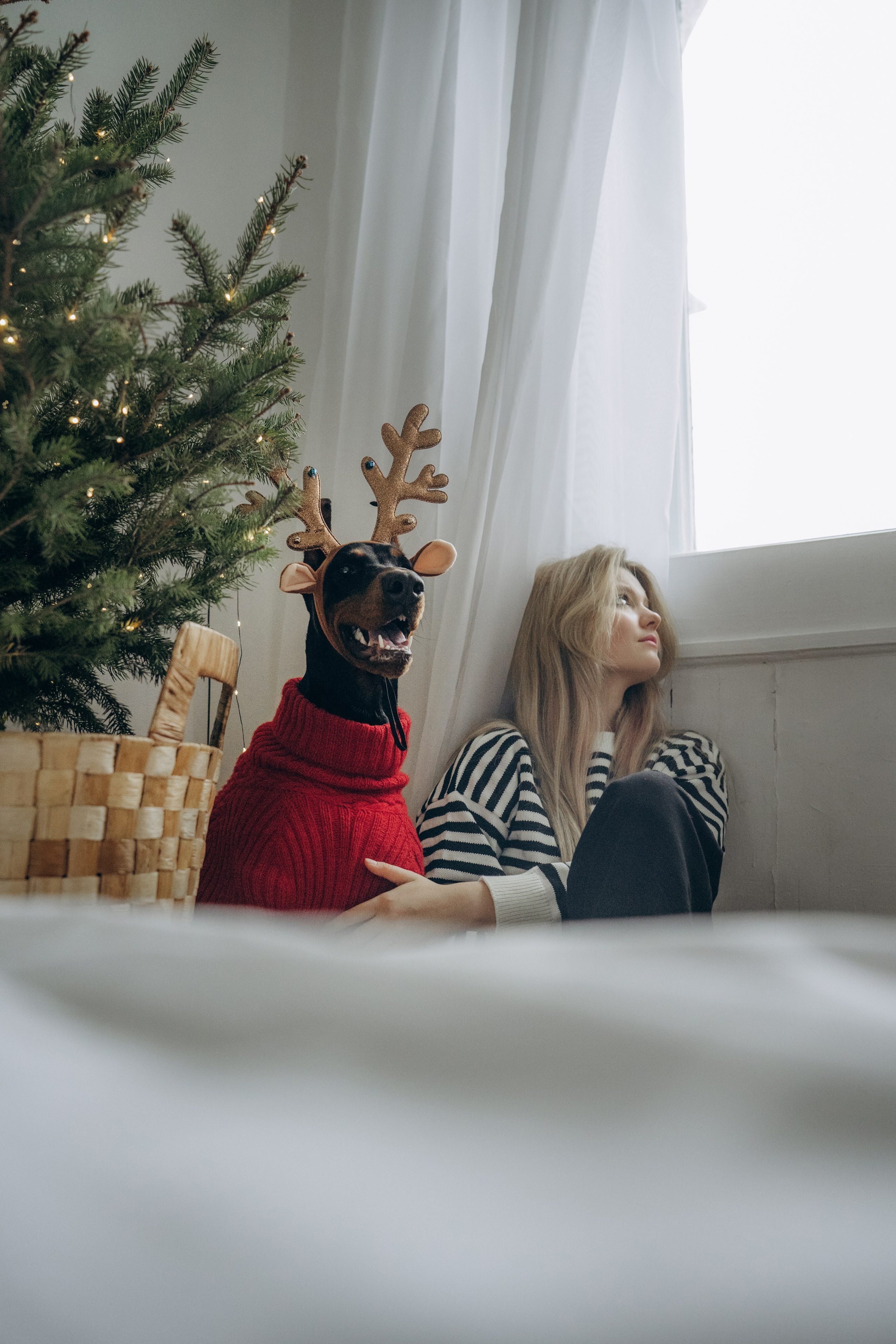 Саша и Асти. Фотограф анималист в Москве и Санкт-Петербурге Свиридова Анна