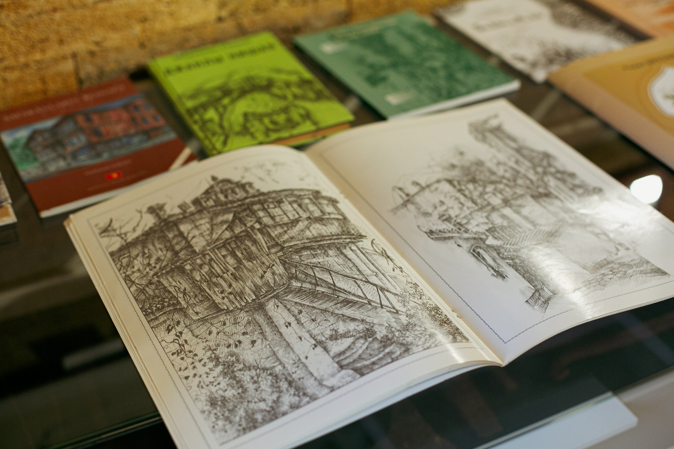 Ramiz Netovkin. Beye Shevkiyeva Photography