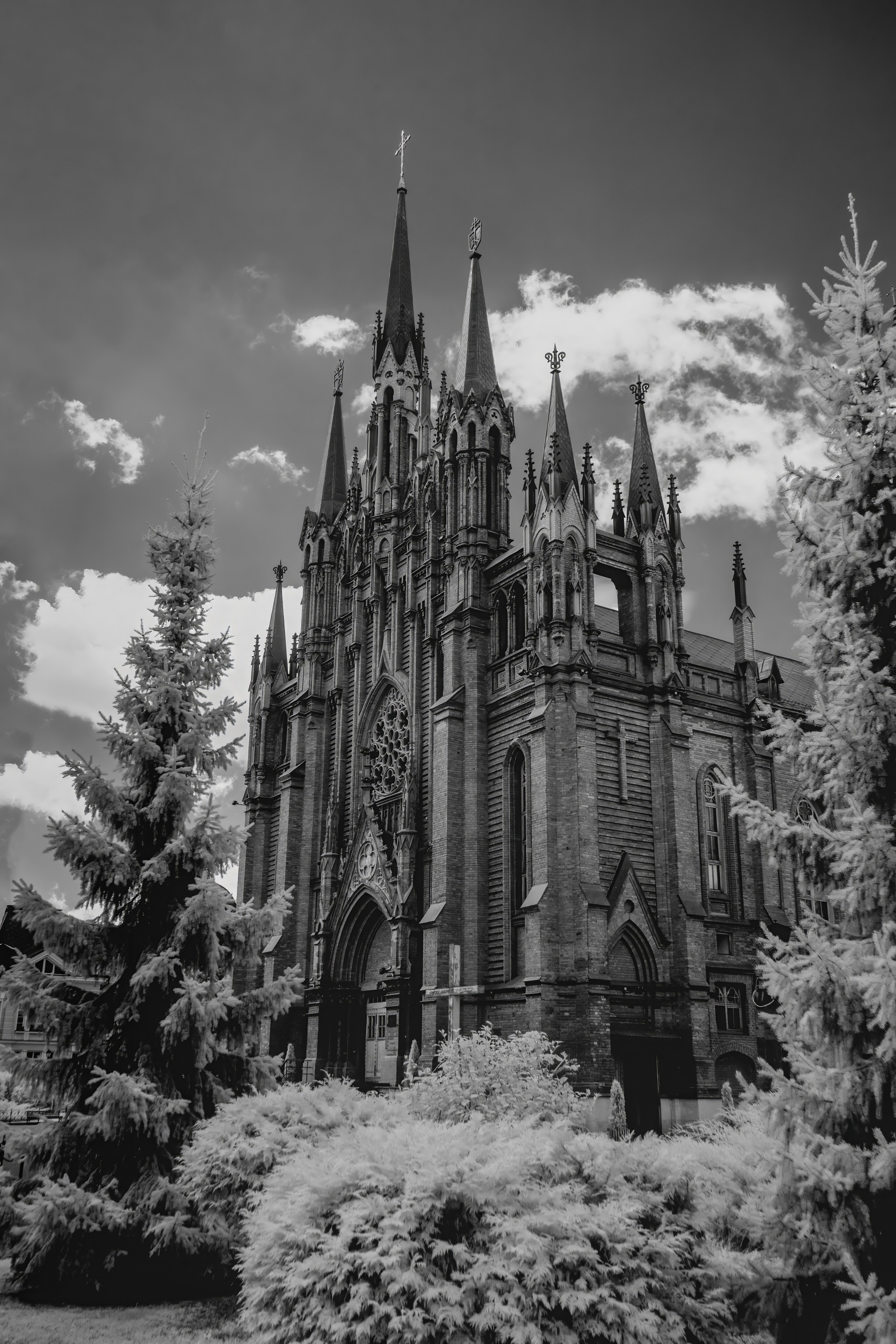 Black and White — Черно белый