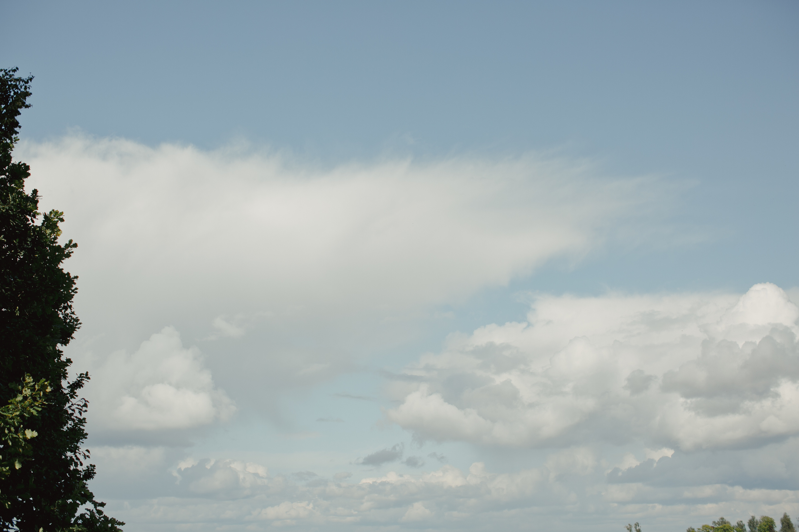Ирина и Денис. Свадебный и семейный фотограф Ольга Сморжанюк