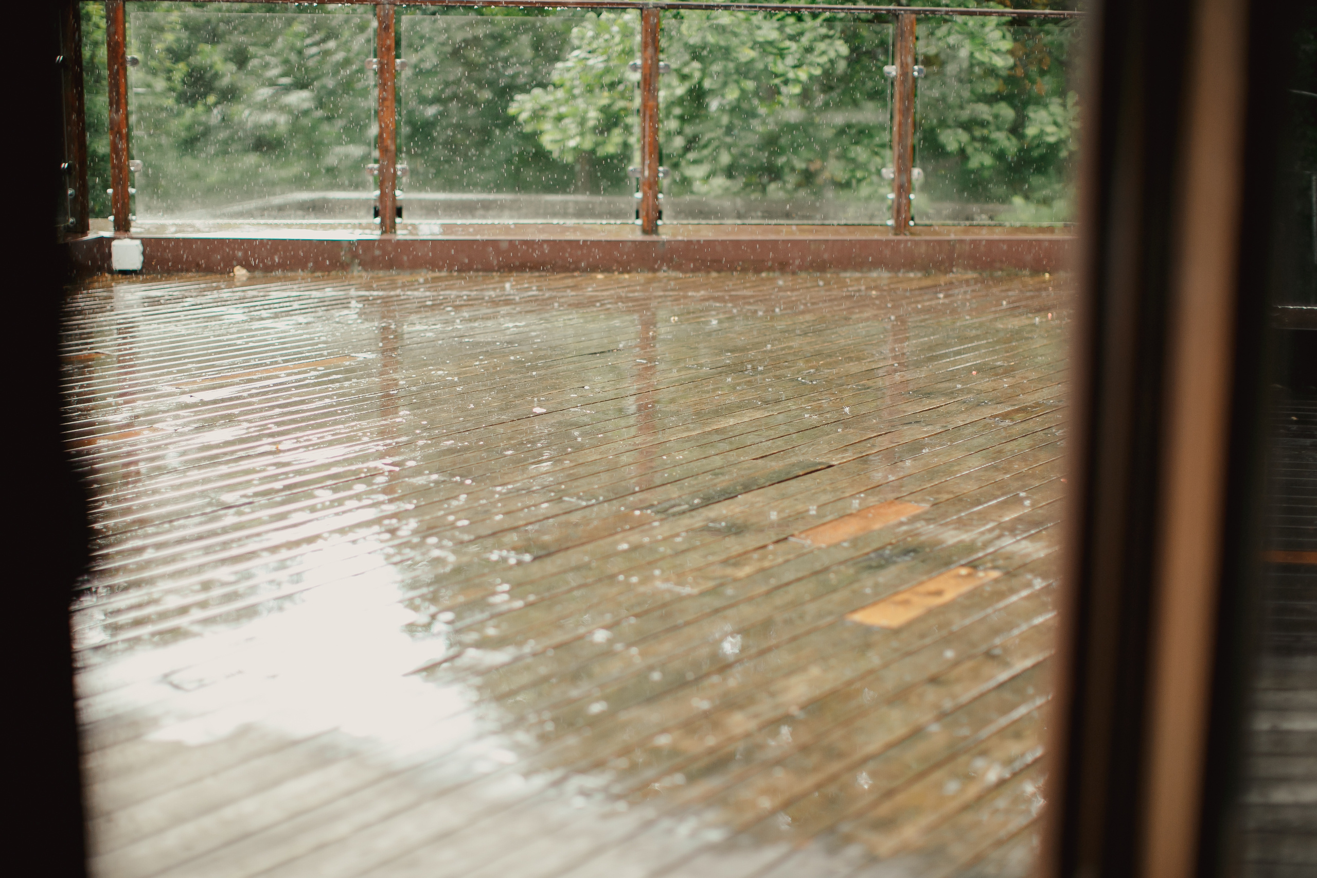 Ирина и Денис. Свадебный и семейный фотограф Ольга Сморжанюк