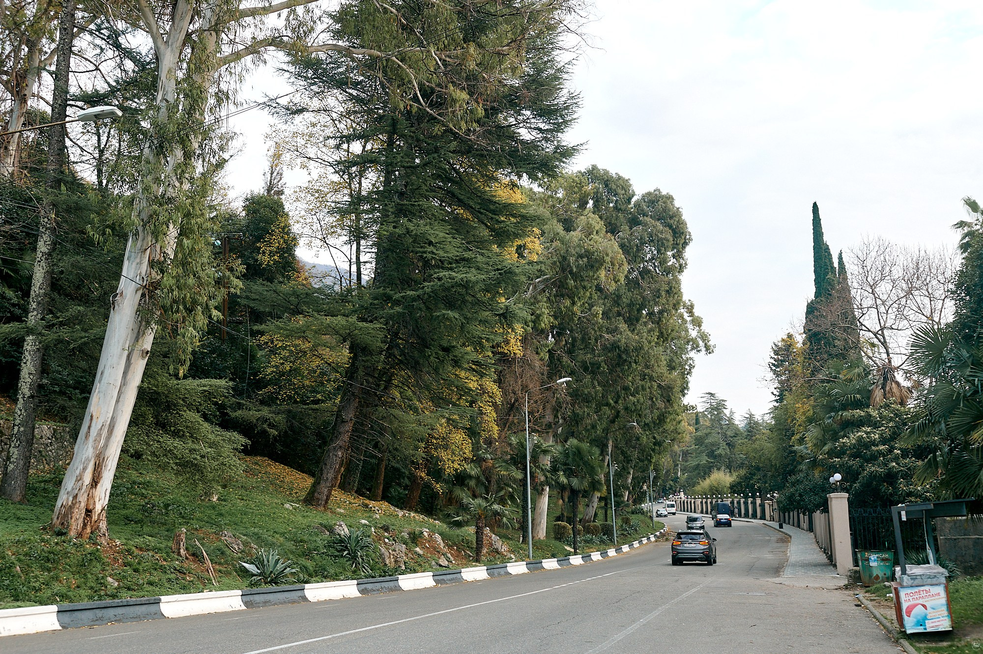 Гагра, Абхазия. Декабрь 2024. Фотографии отовсюду и обо всем