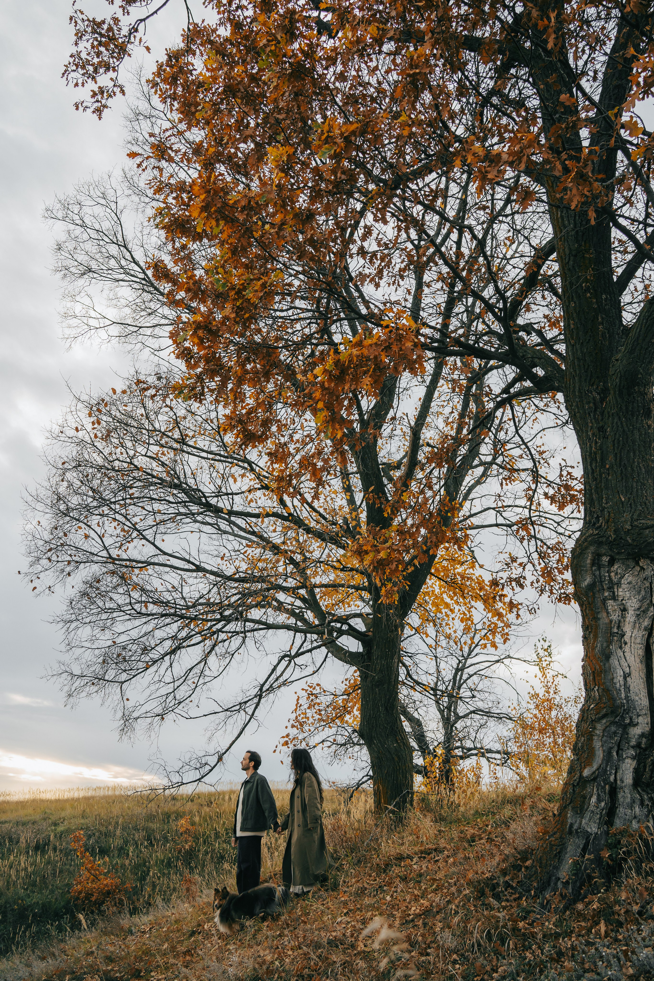 Руслан и Алена. Фотограф Аня Курмангалиева