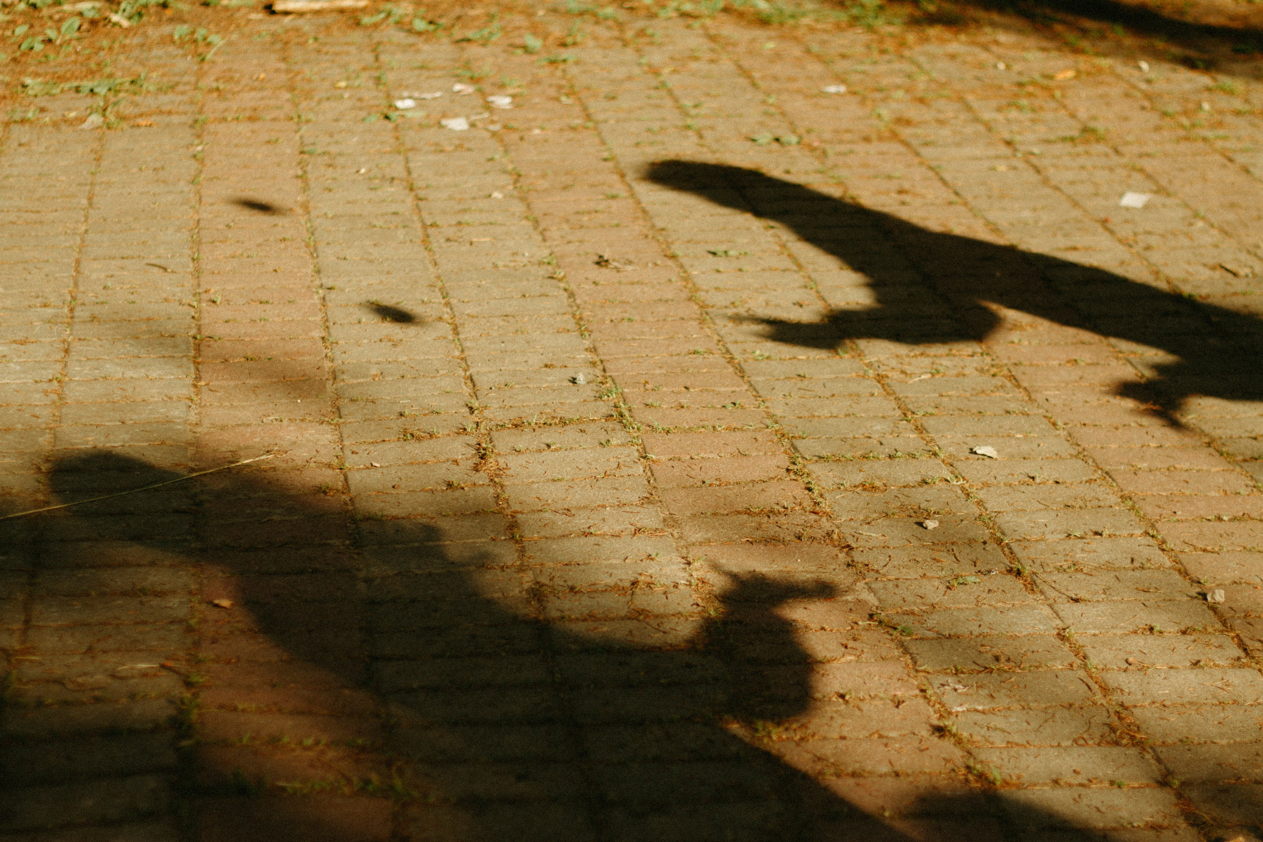 Тренировка по жонглированию 