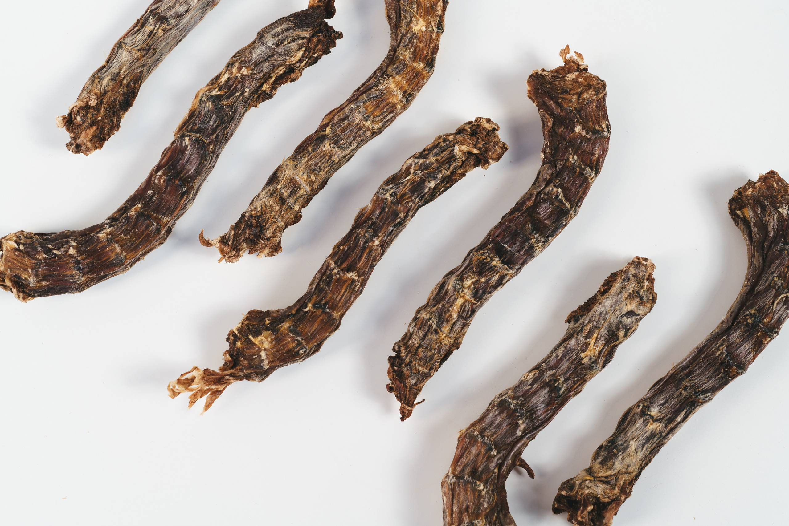 Лакомства Woofa. Фотограф анималист Осипчикова Мария