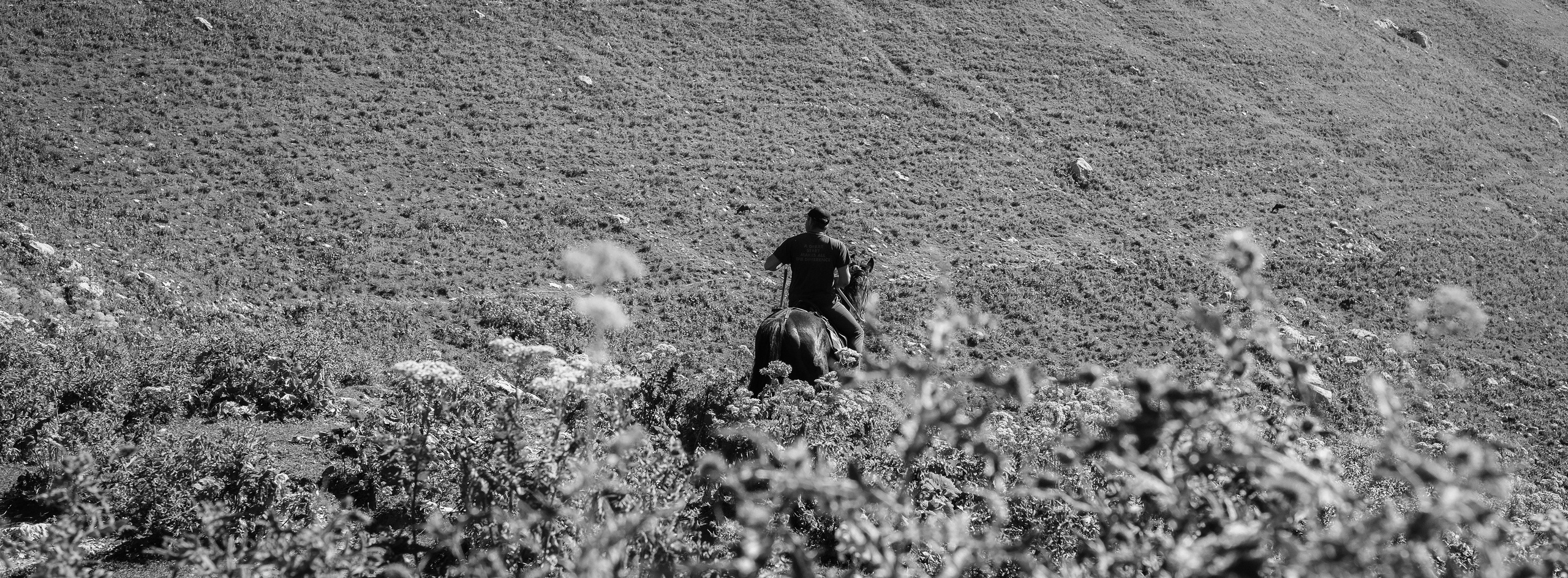 Тридцатка | август 2023