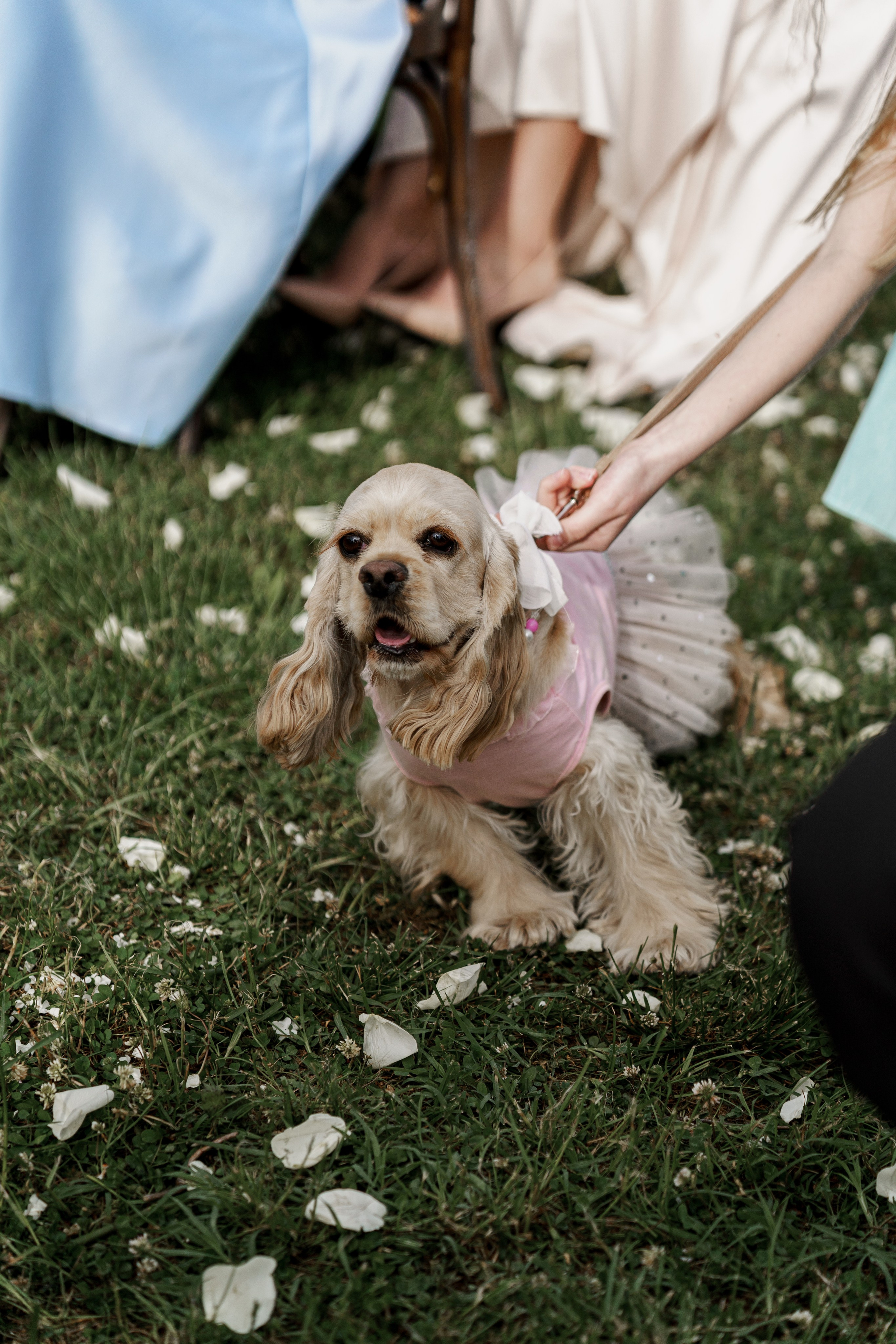 Кахетия: Семён и Лейла. Свадебный и индивидуальный фотограф Татьяна Гуляева