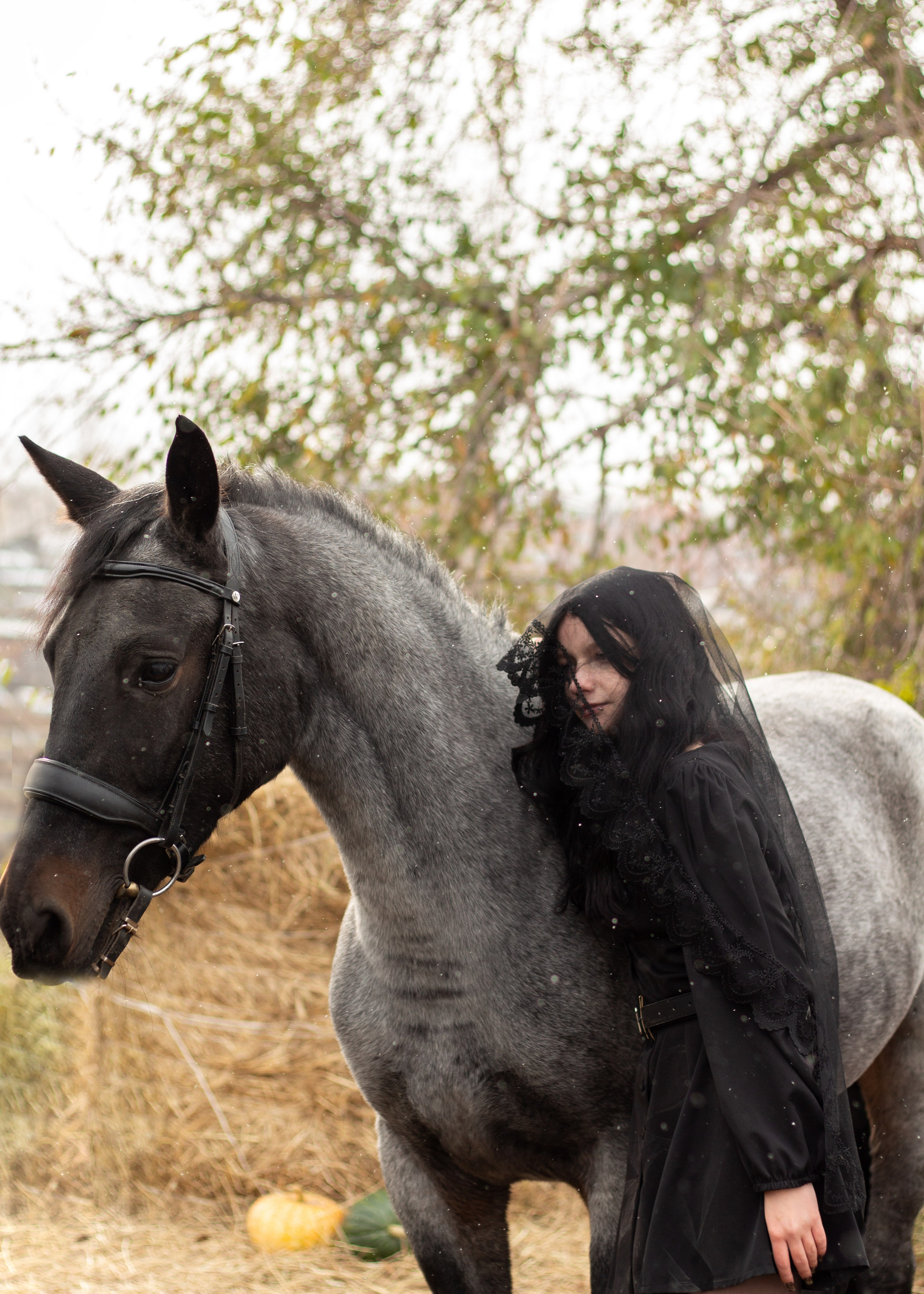Алиса и ЛаГерда. Фотограф в Иркутске, Харитонова Елизавета