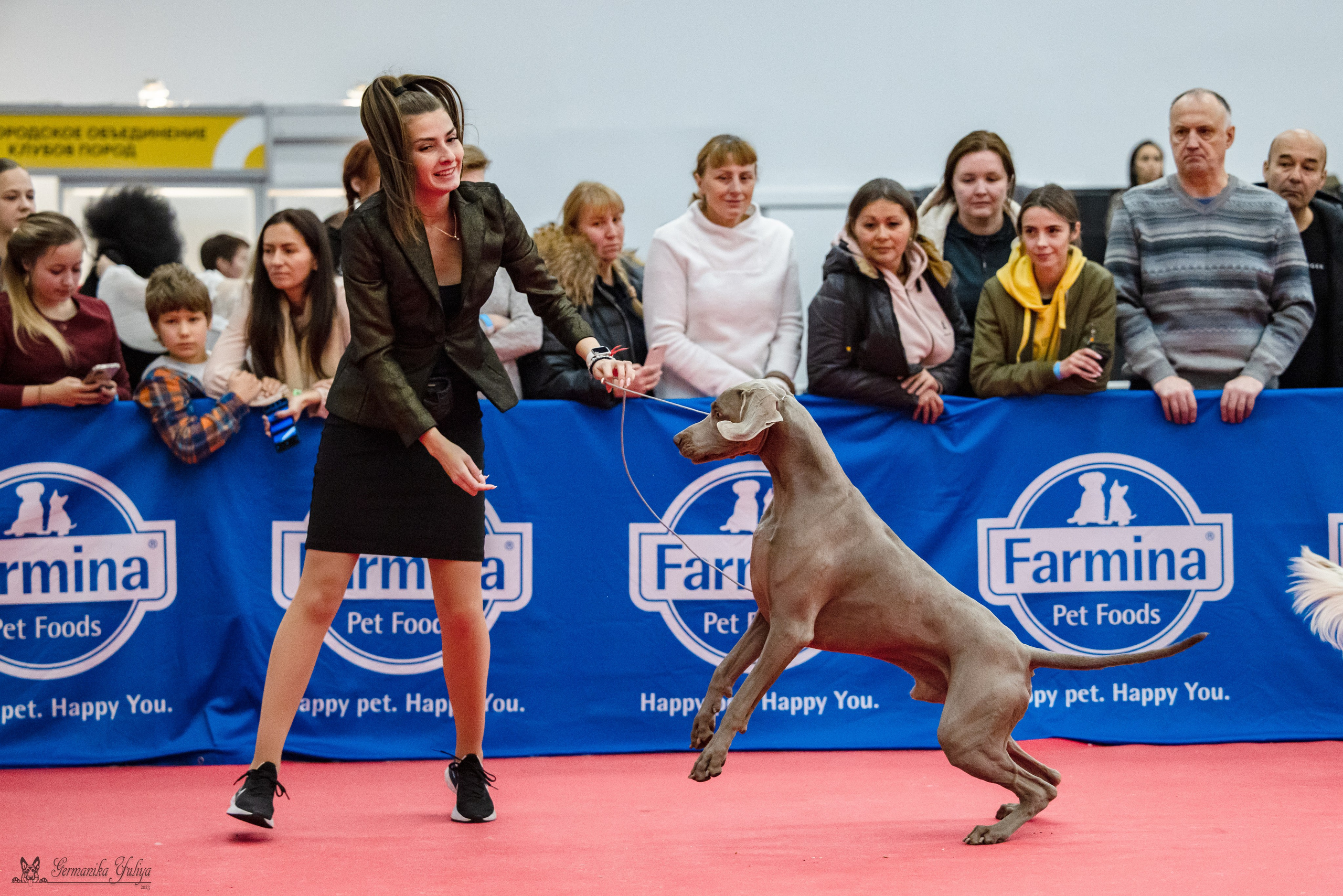 Нижний Новгород 21-22.10.2023. Фотограф-анималист Юлия Германика